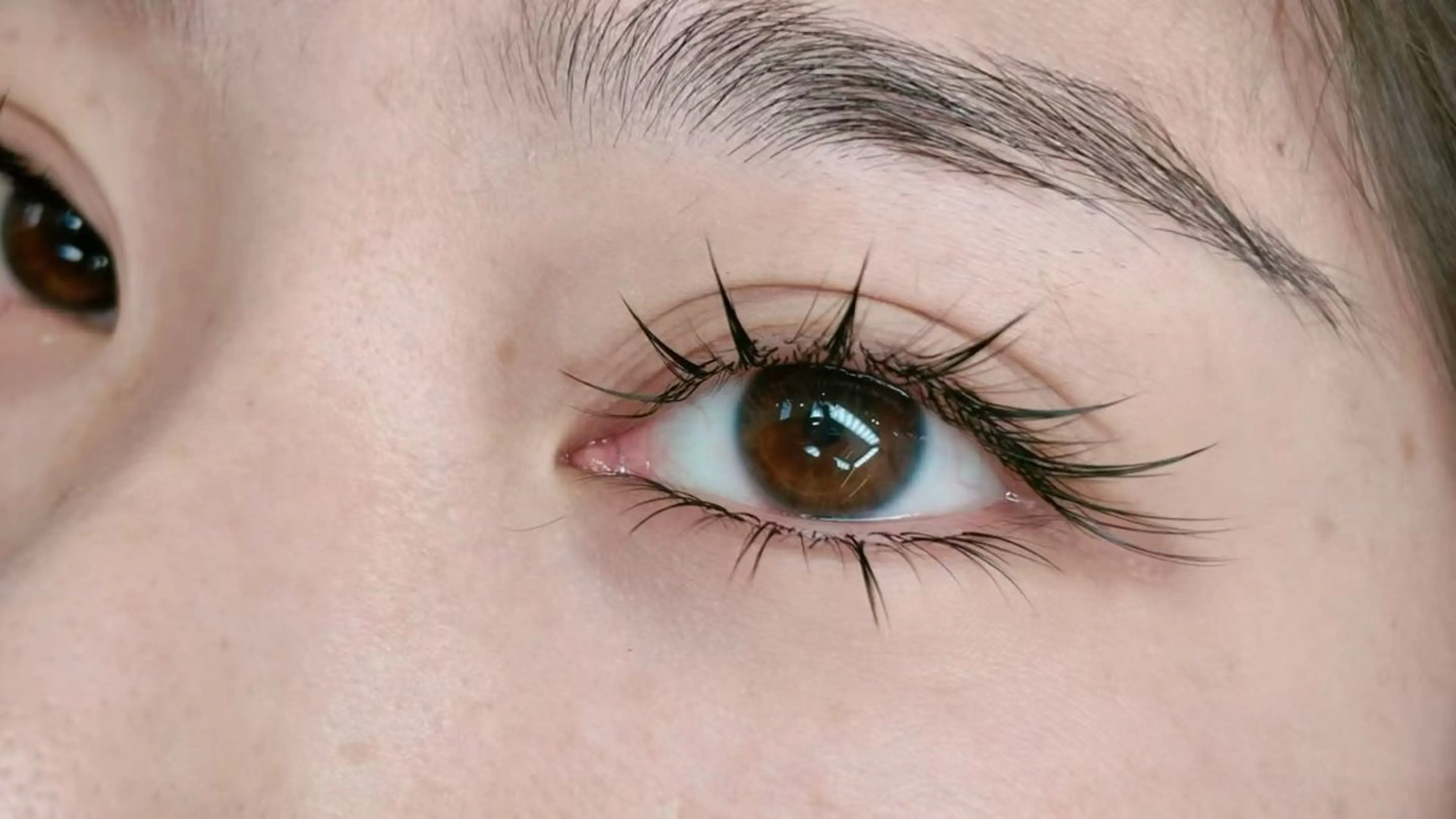 マツエク・マツパ 束感まつ毛 ワンホンマツエク マツエク 池袋💖 チルザルトサロンのマツエク・マツパデザイン