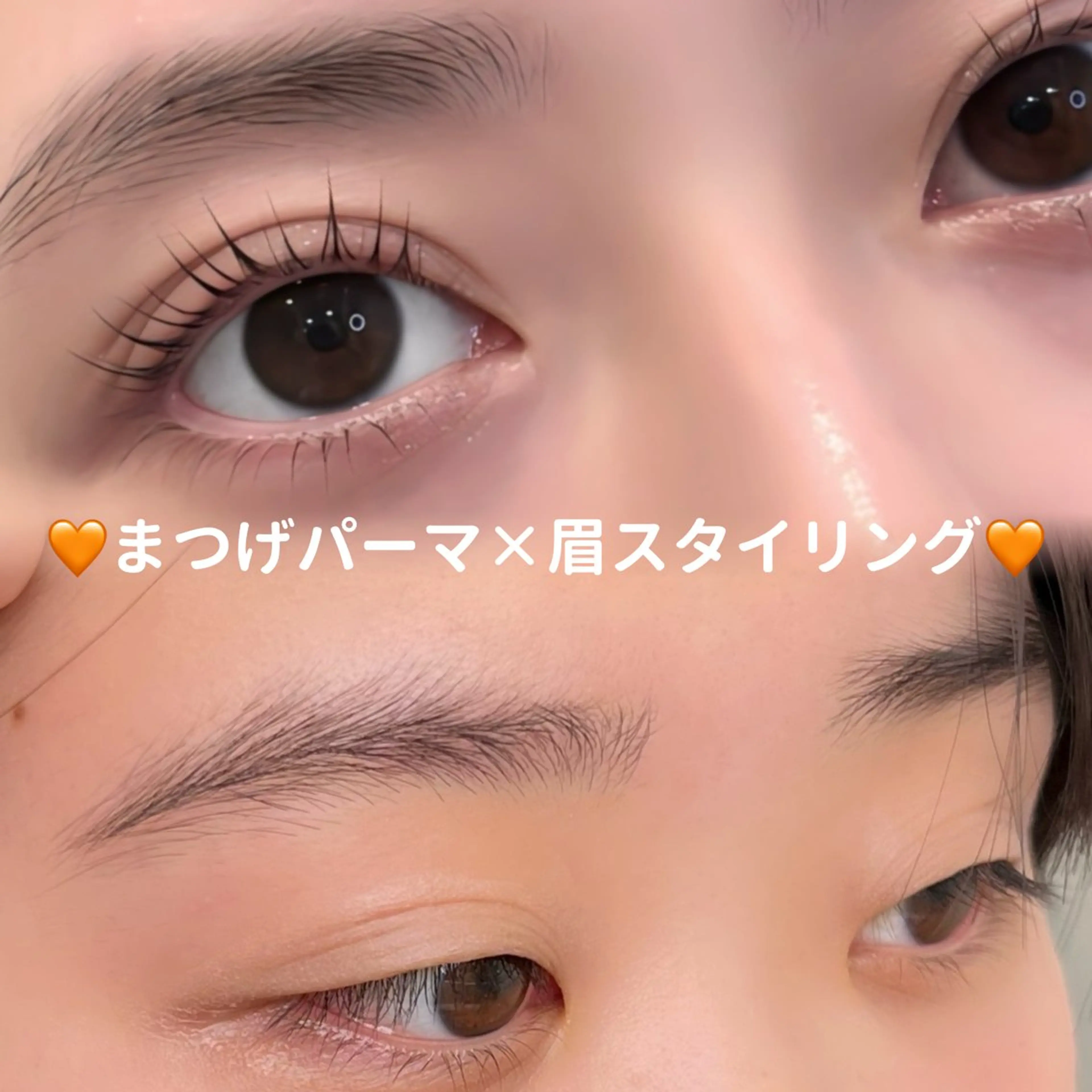 🧡撮影モデル募集📸まつげパーマ&眉スタイリング🍊¥11250→¥5500🍊リクエスト予約限定🧡の写真