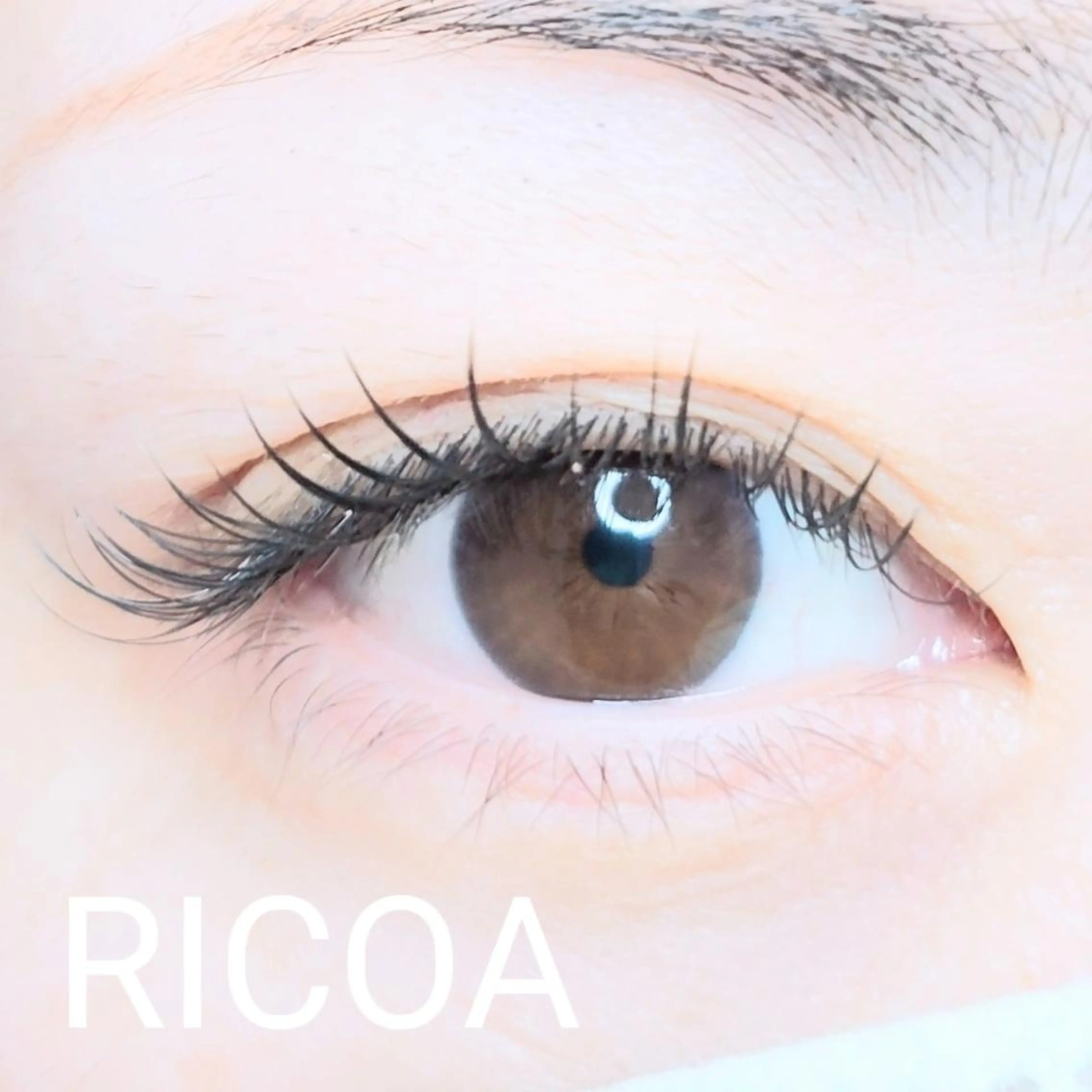 マツエク・マツパ フラットラッシュ RICOA 酒井のマツエク・マツパデザイン