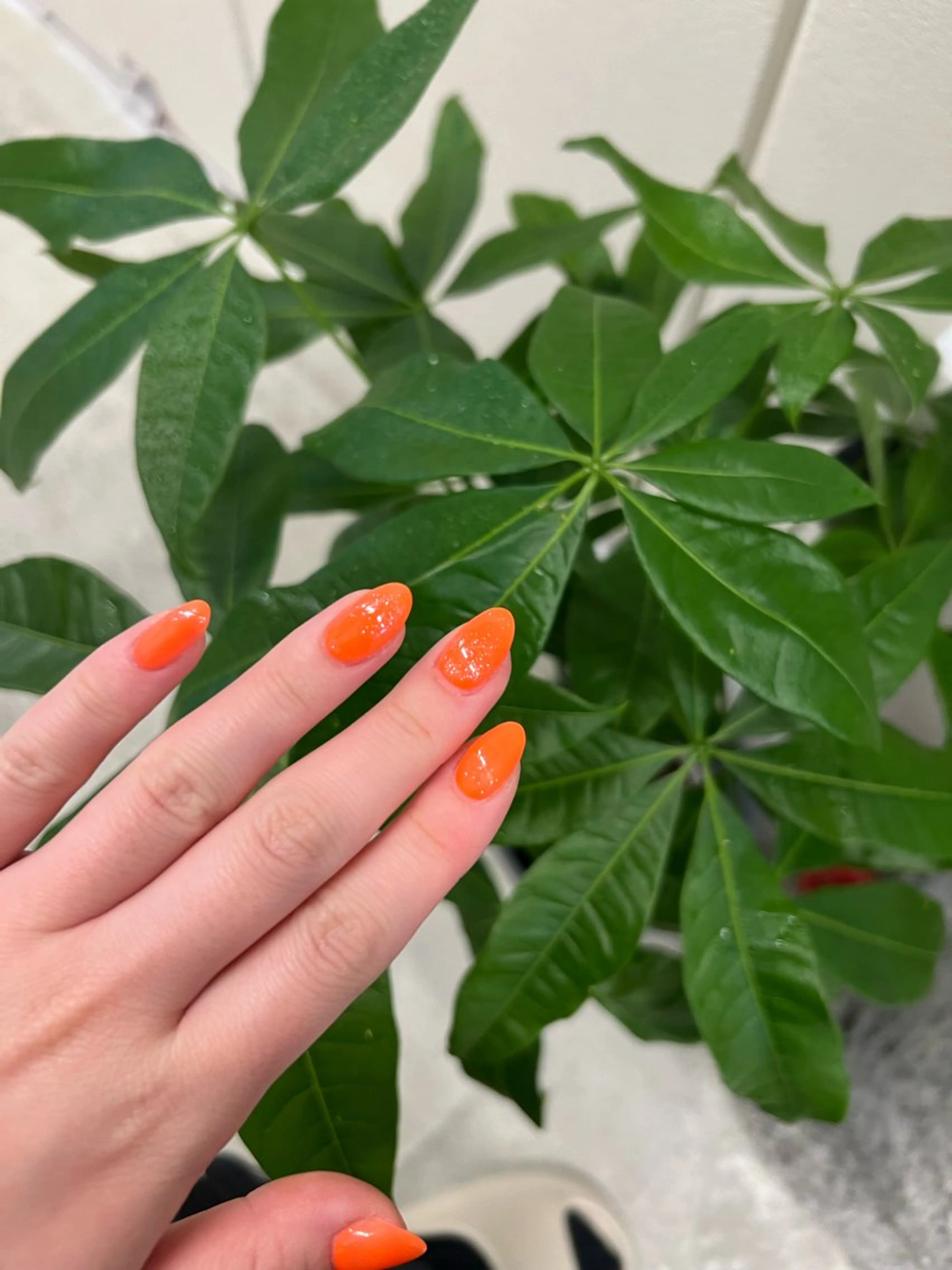 ネイル N nailのネイルデザイン
