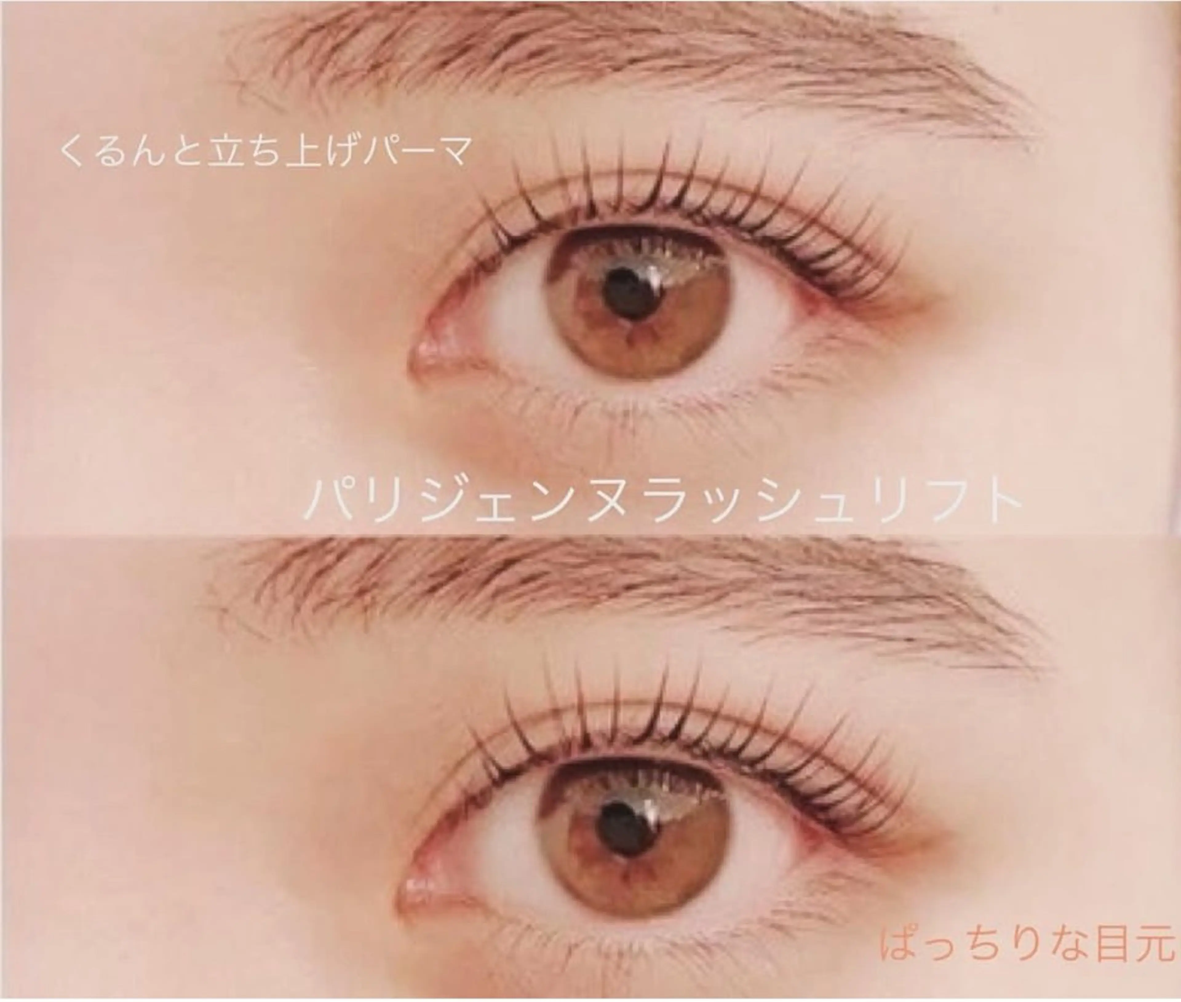 パリジェンヌラッシュリフトの写真