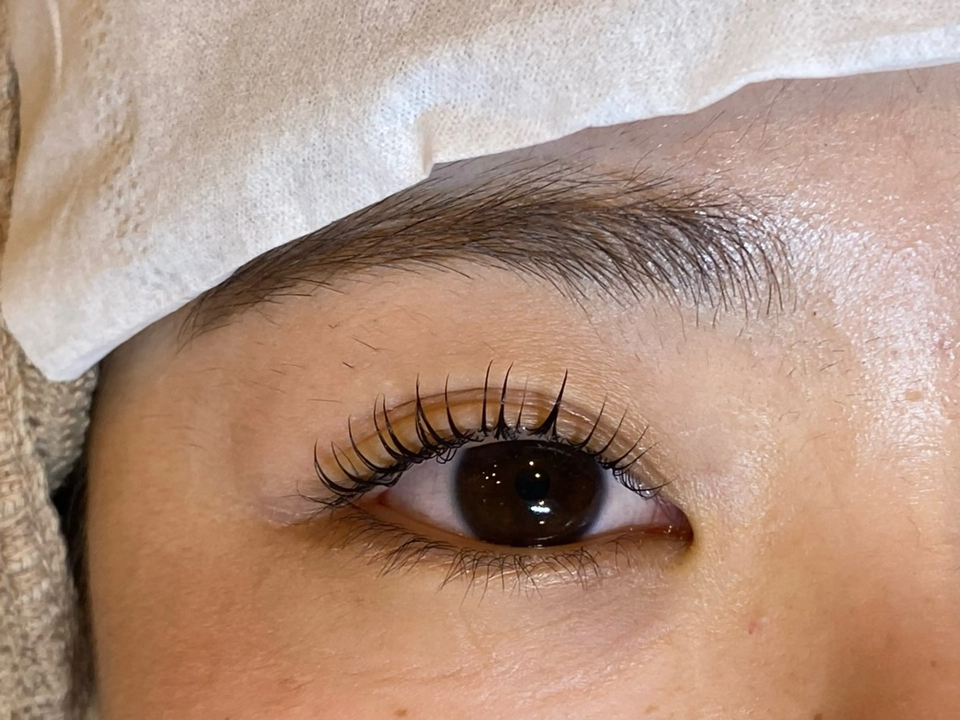 マツエク・マツパ Daisy lash 京橋店堀井のマツエク・マツパデザイン