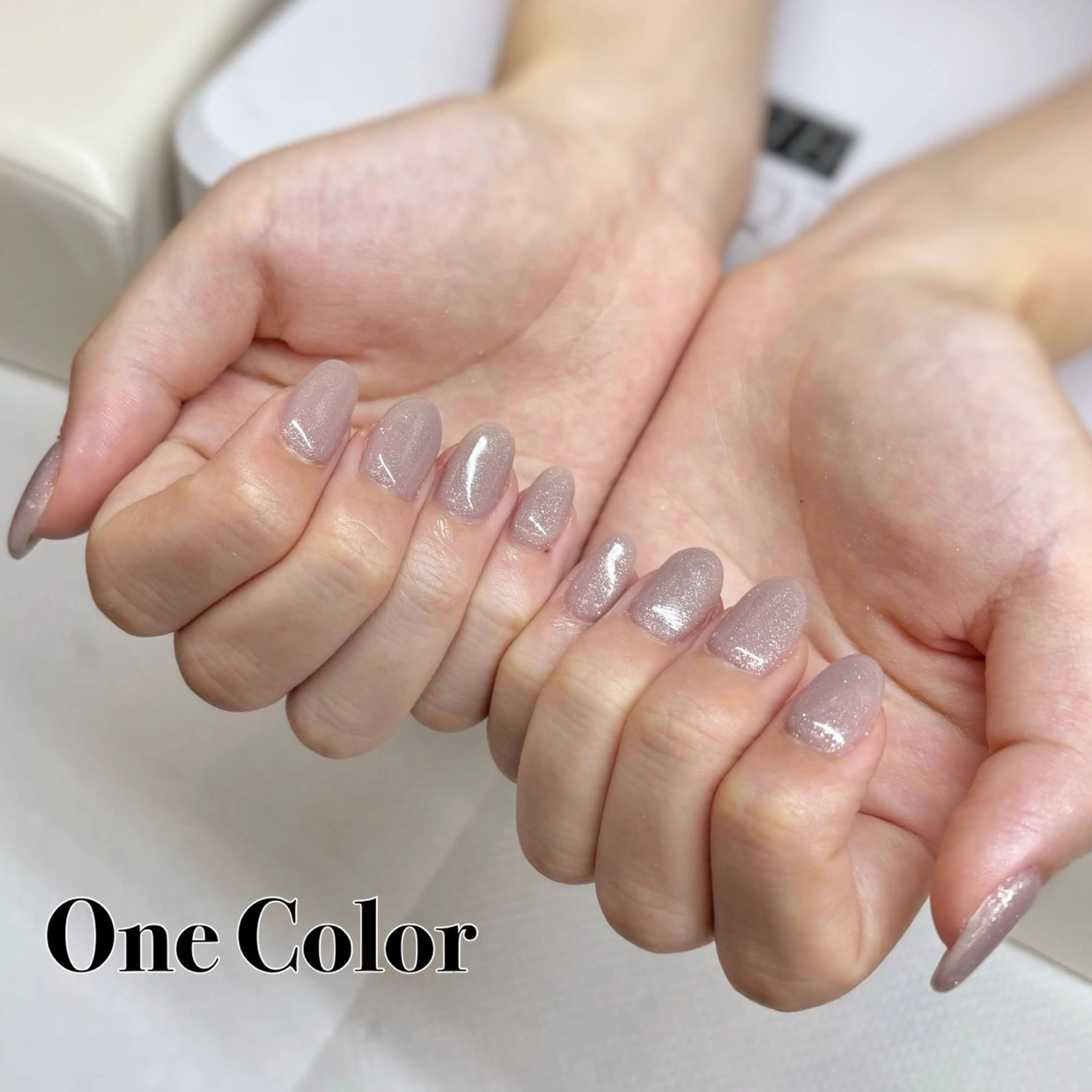 ネイル ワンカラーネイル シルバー 【モデル募集中】 hina🌼のネイルデザイン
