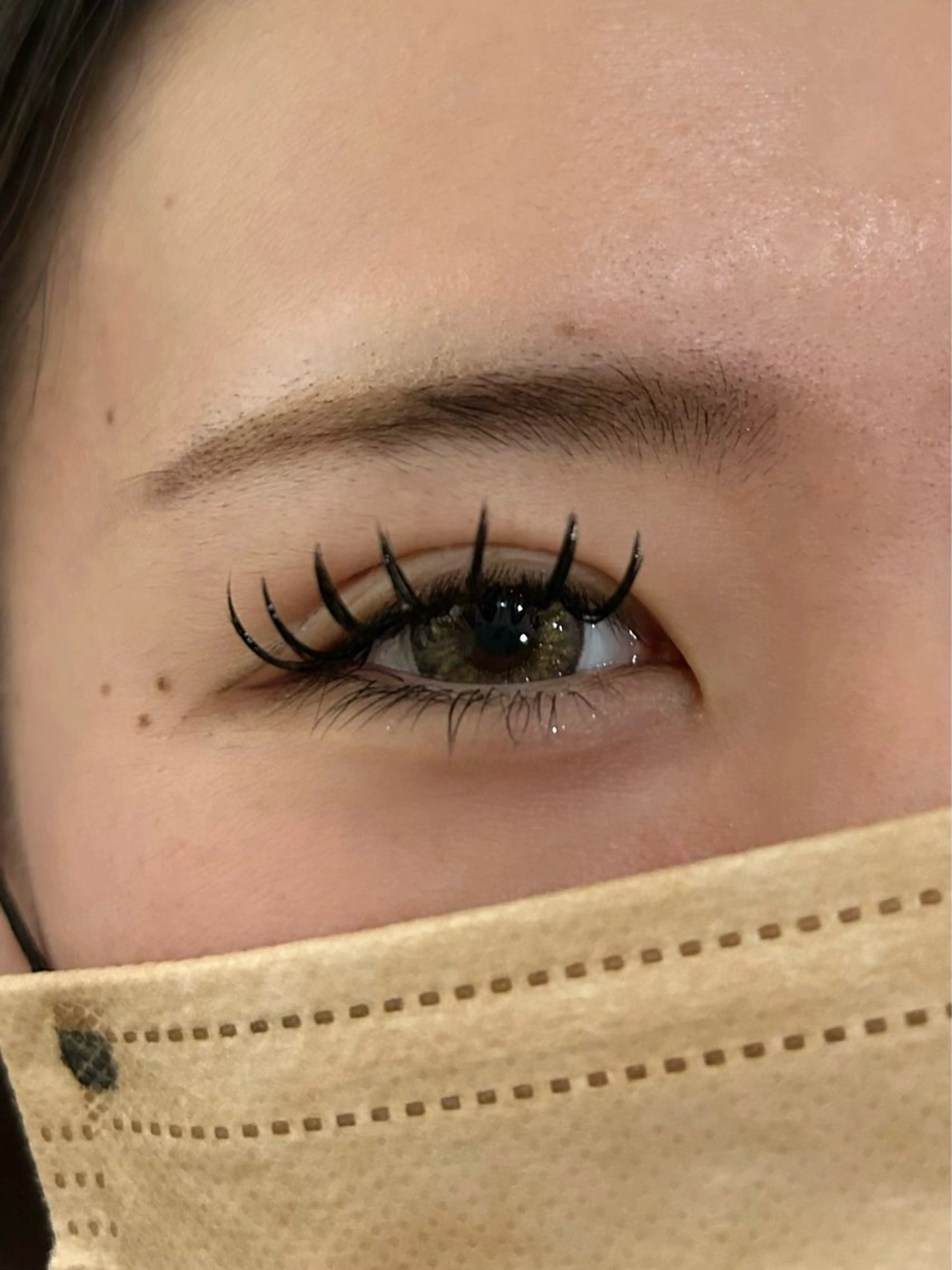 【練習モデル】ダブルフラットラッシュ60束の写真