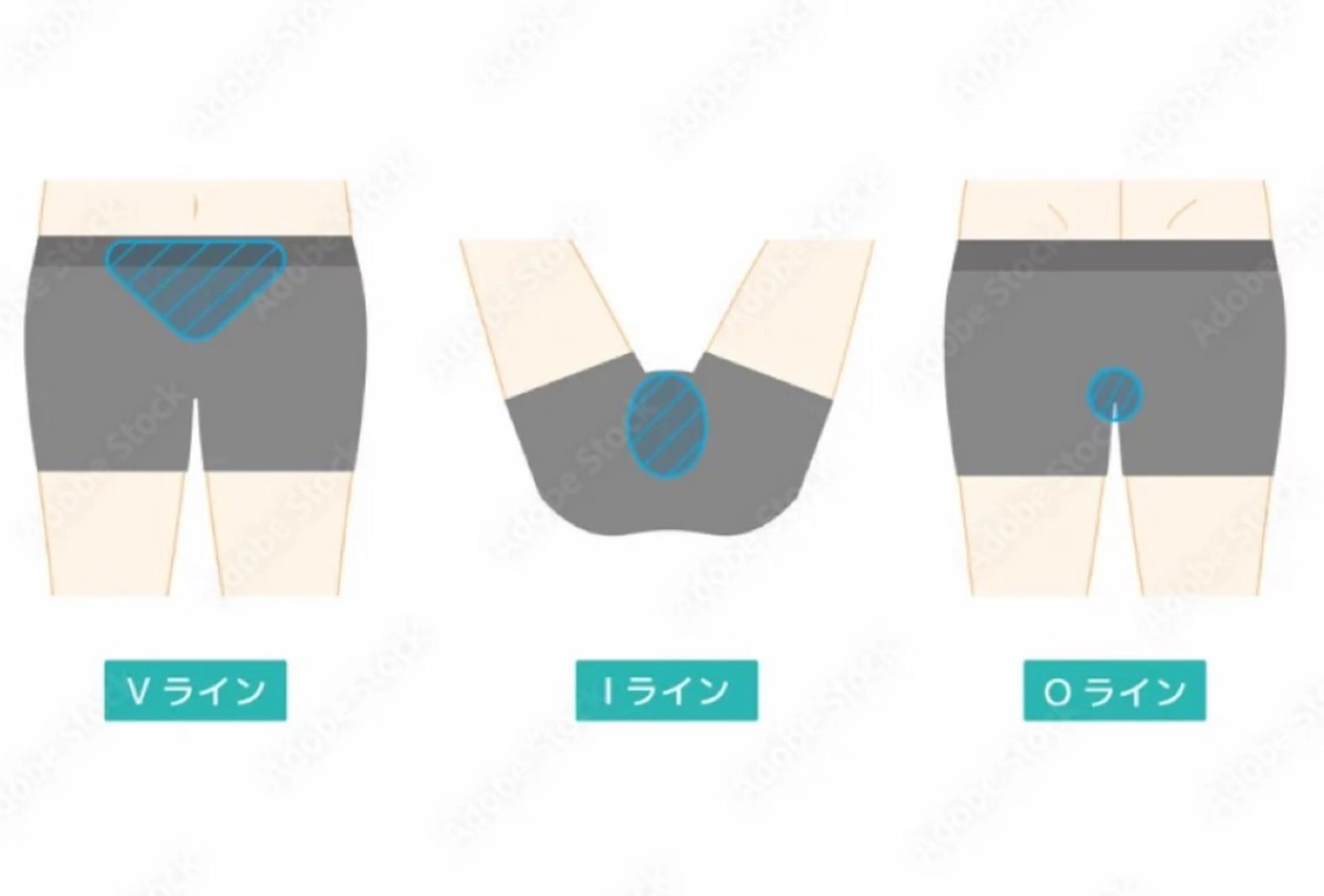 B&I  SHIZUOKA所属・B&I 静岡のその他イメージ