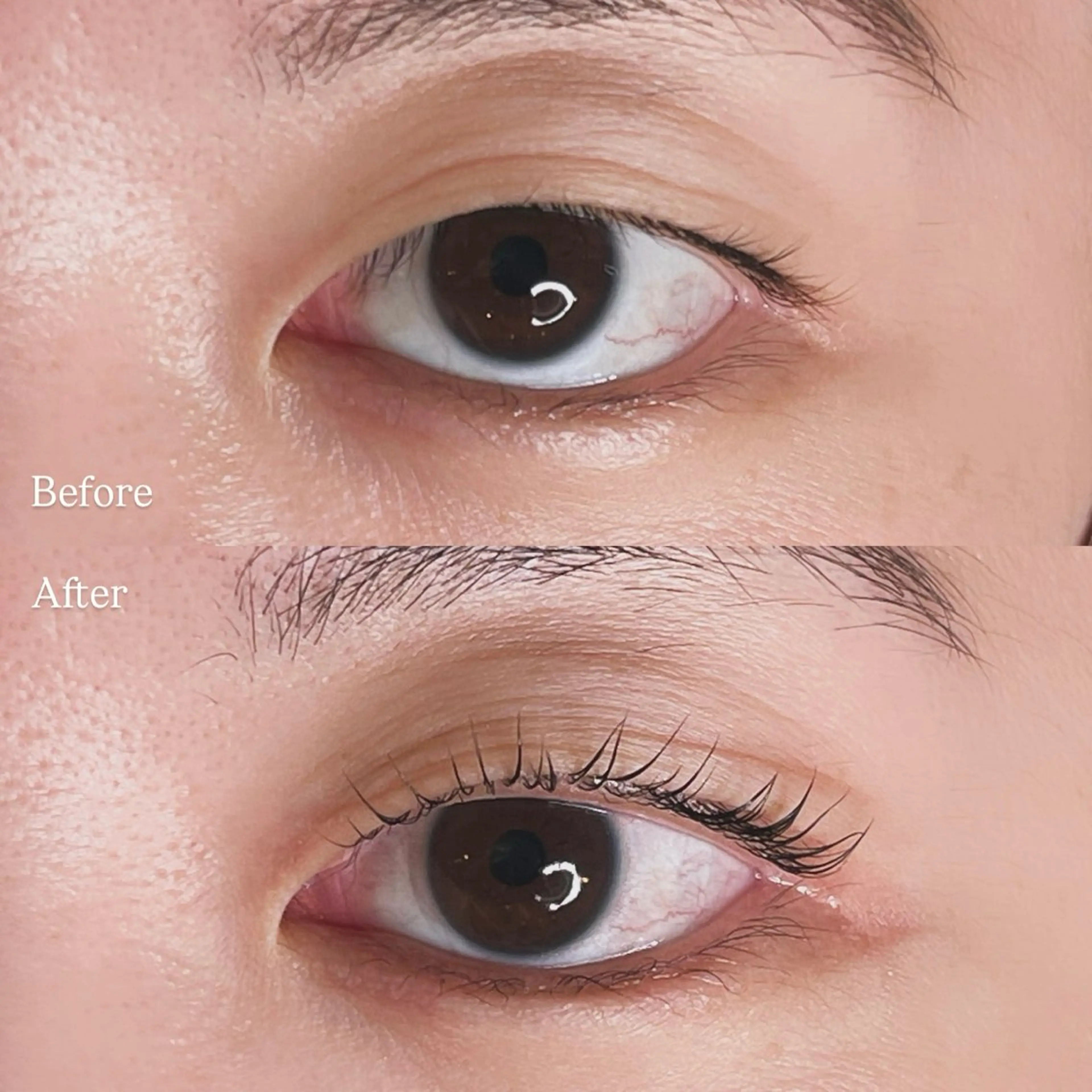 マツエク・マツパ マツパ ty eyelash salonのマツエク・マツパデザイン