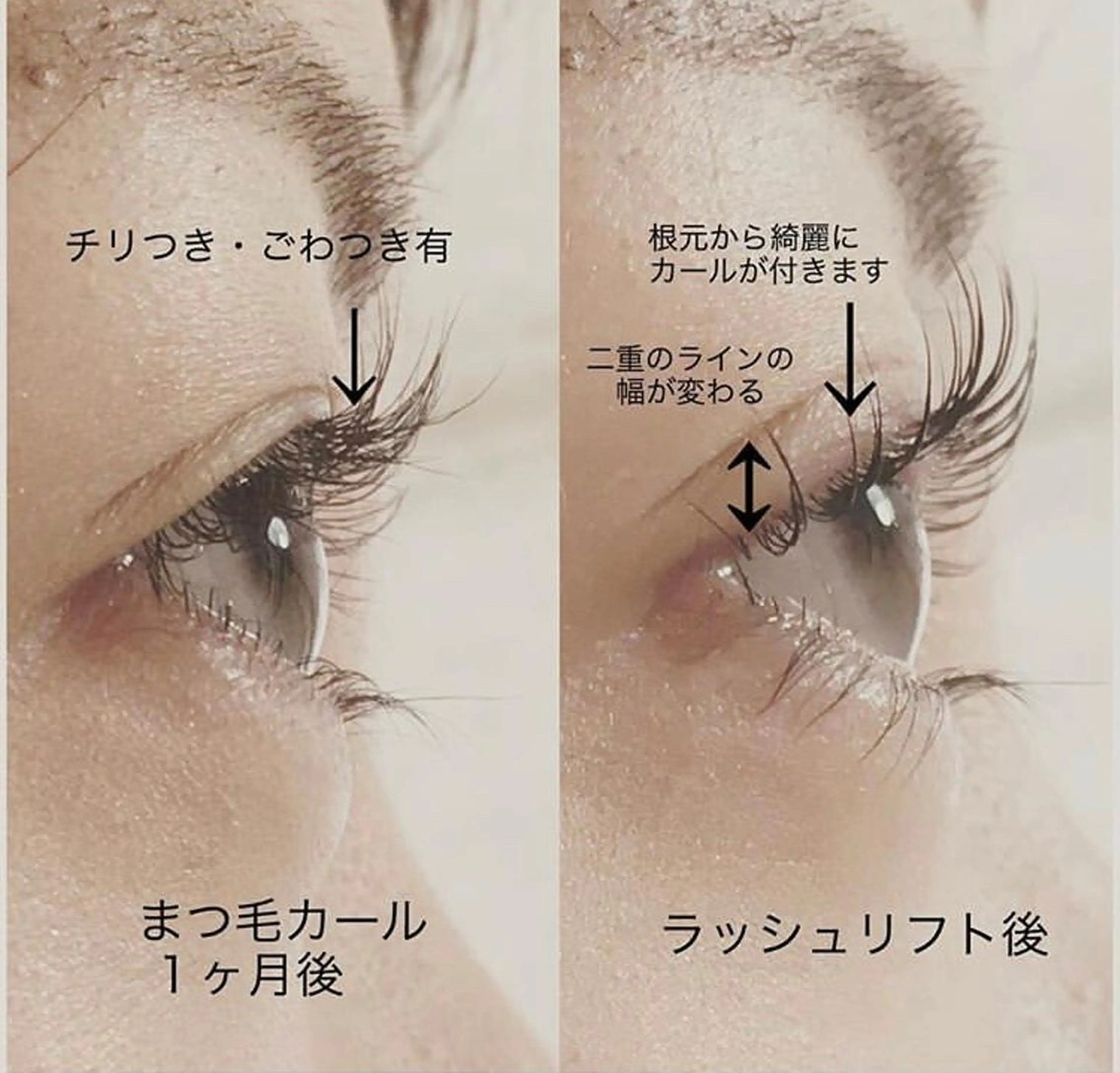 マツエク・マツパ パリジェンヌラッシュリフト FOXY LASH Kikuchiのマツエク・マツパデザイン