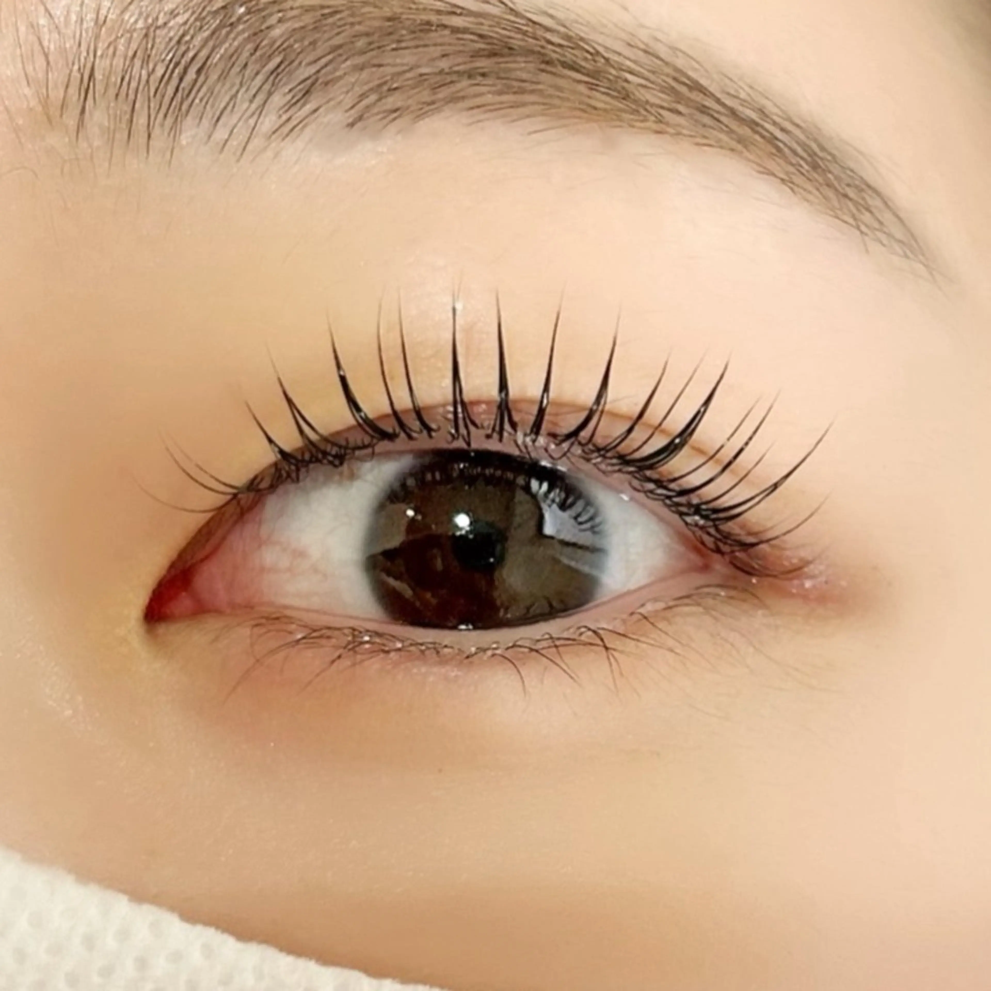 🩵ミニモ限定価格🩵まつ毛パーマ👀✨の写真