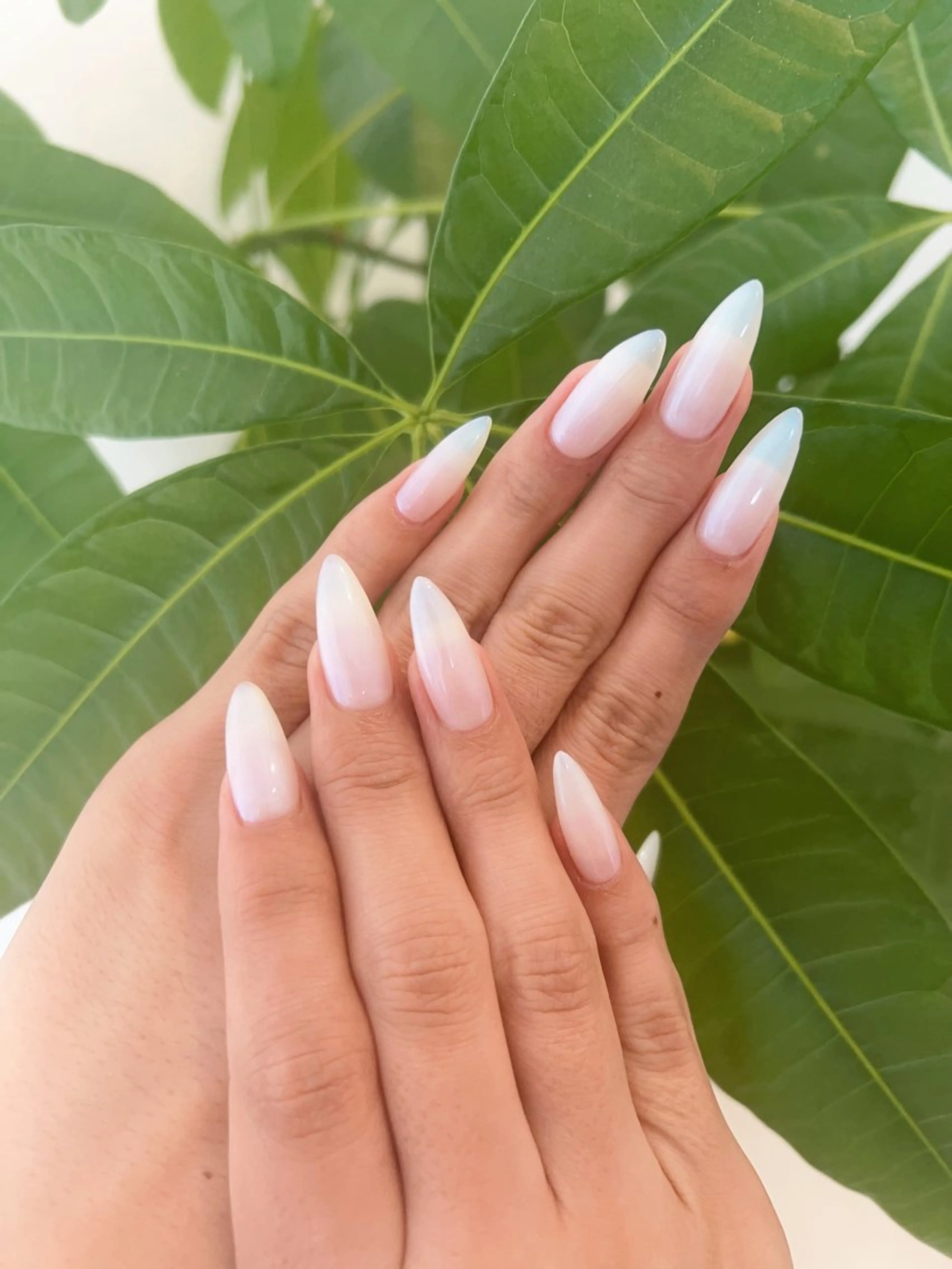 ネイル アートネイル チークネイル フラッシュネイル フットネイル フレンチネイル Floria KANAのネイルデザイン