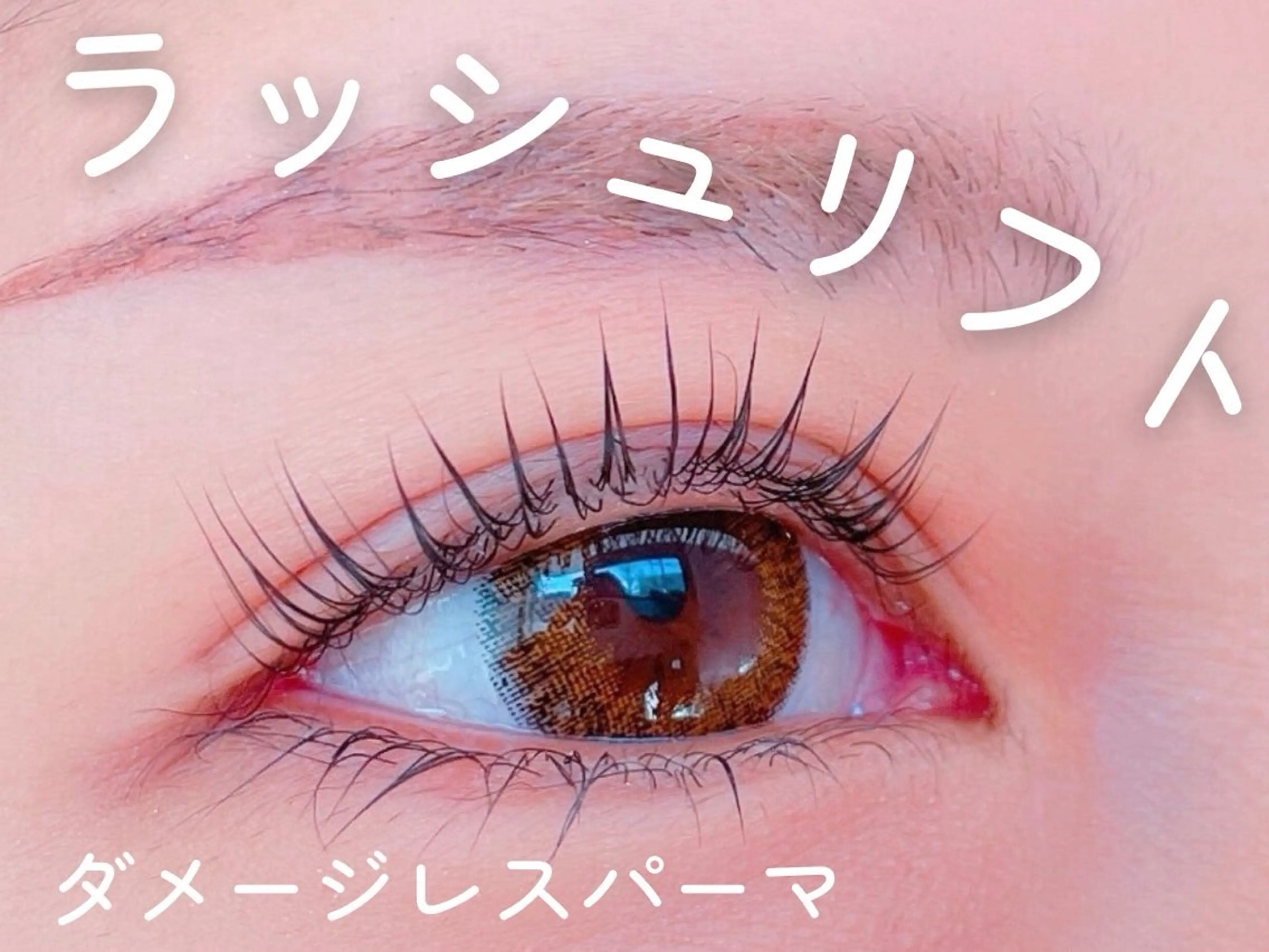 ラッシュリフト🩵3つのトリートメント付き👀🦋まつ毛のダメージを抑えたまつ毛パーマ🤍🤍の写真
