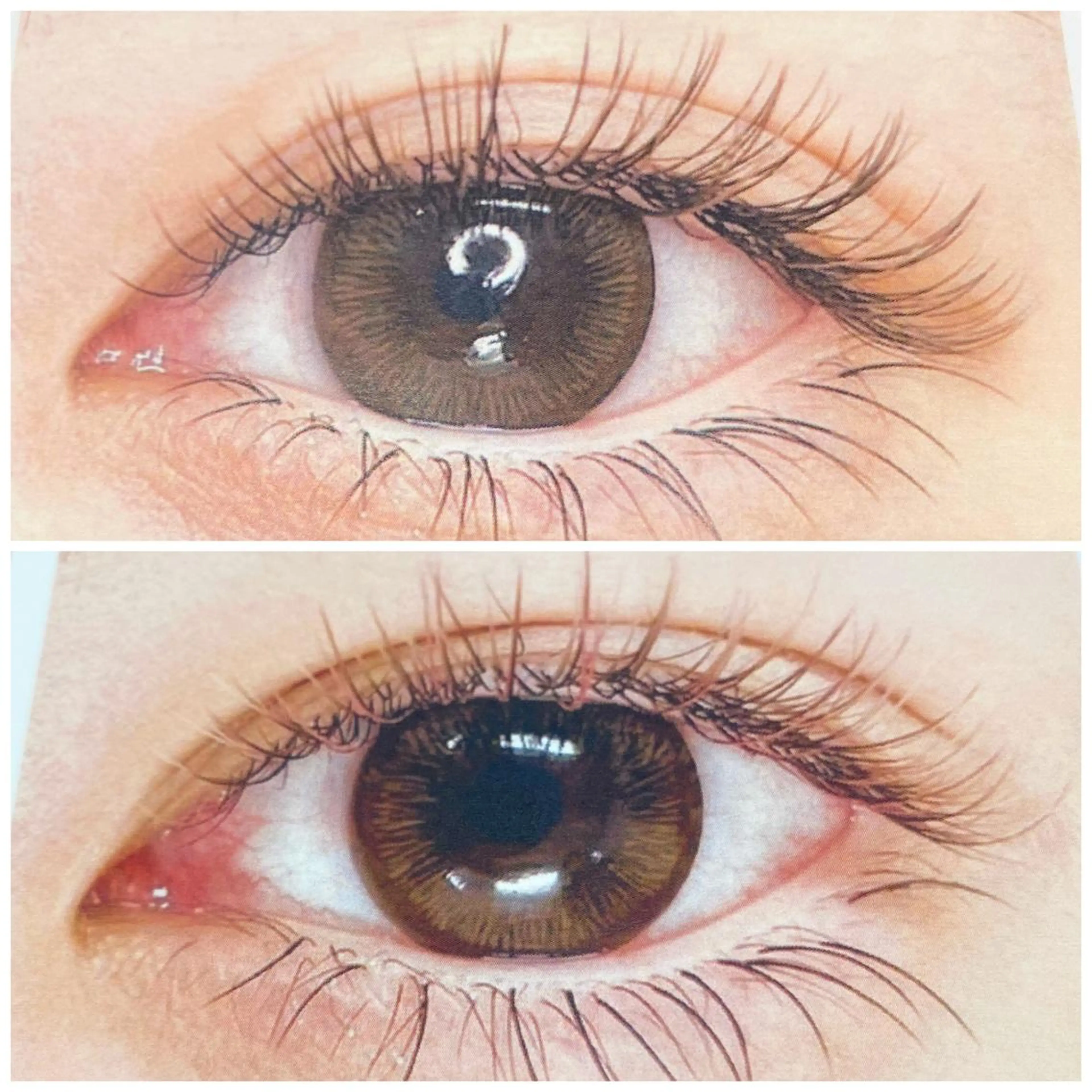 マツエク・マツパ Norn所属・樋口 有紗のマツエク・マツパデザイン