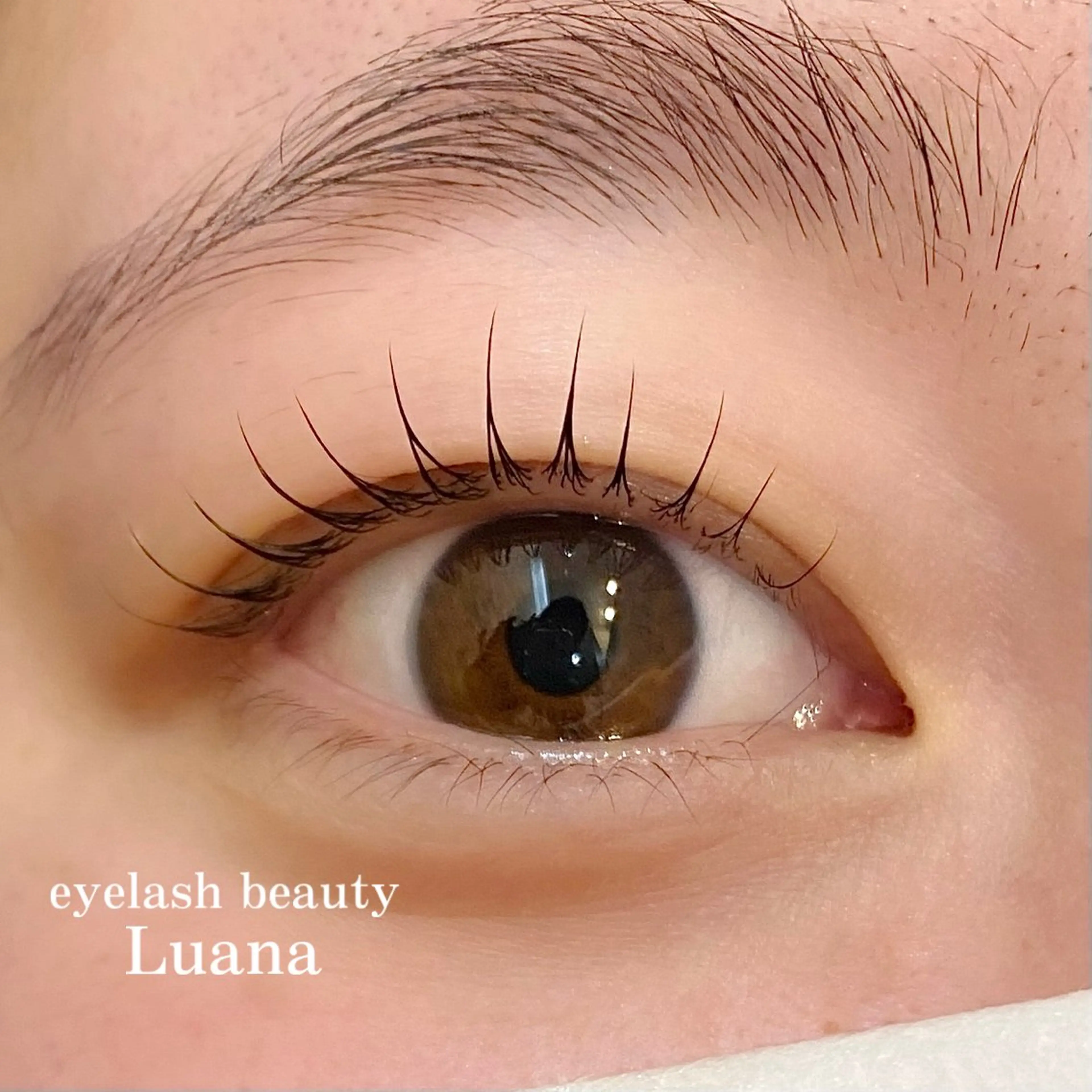マツエク・マツパ 一重×まつ毛パーマ eyelash beauty Luana所属・🌺Luana🐬 yukariのマツエク・マツパデザイン