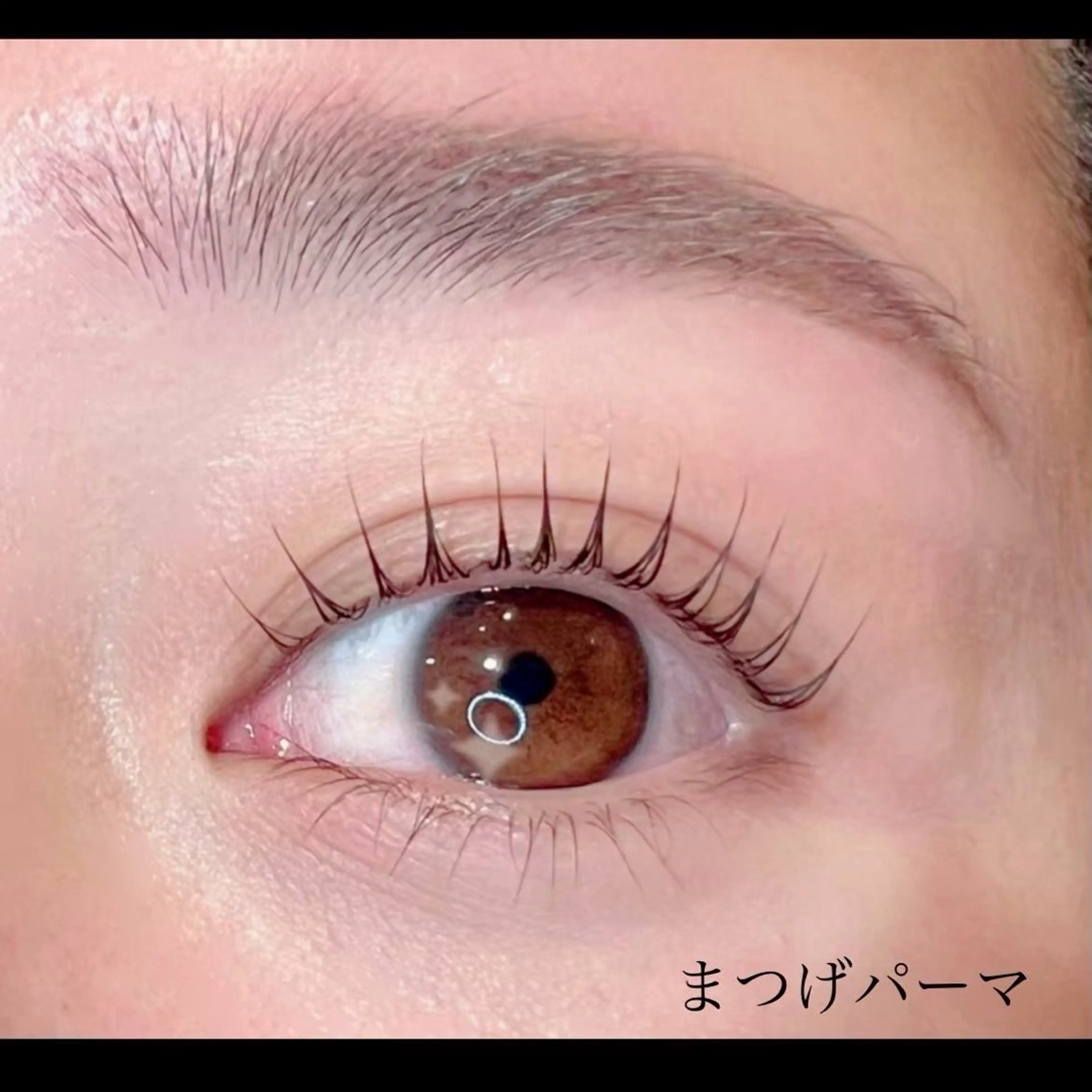マツエク・マツパ MIYU LED専門店⭐︎のマツエク・マツパデザイン