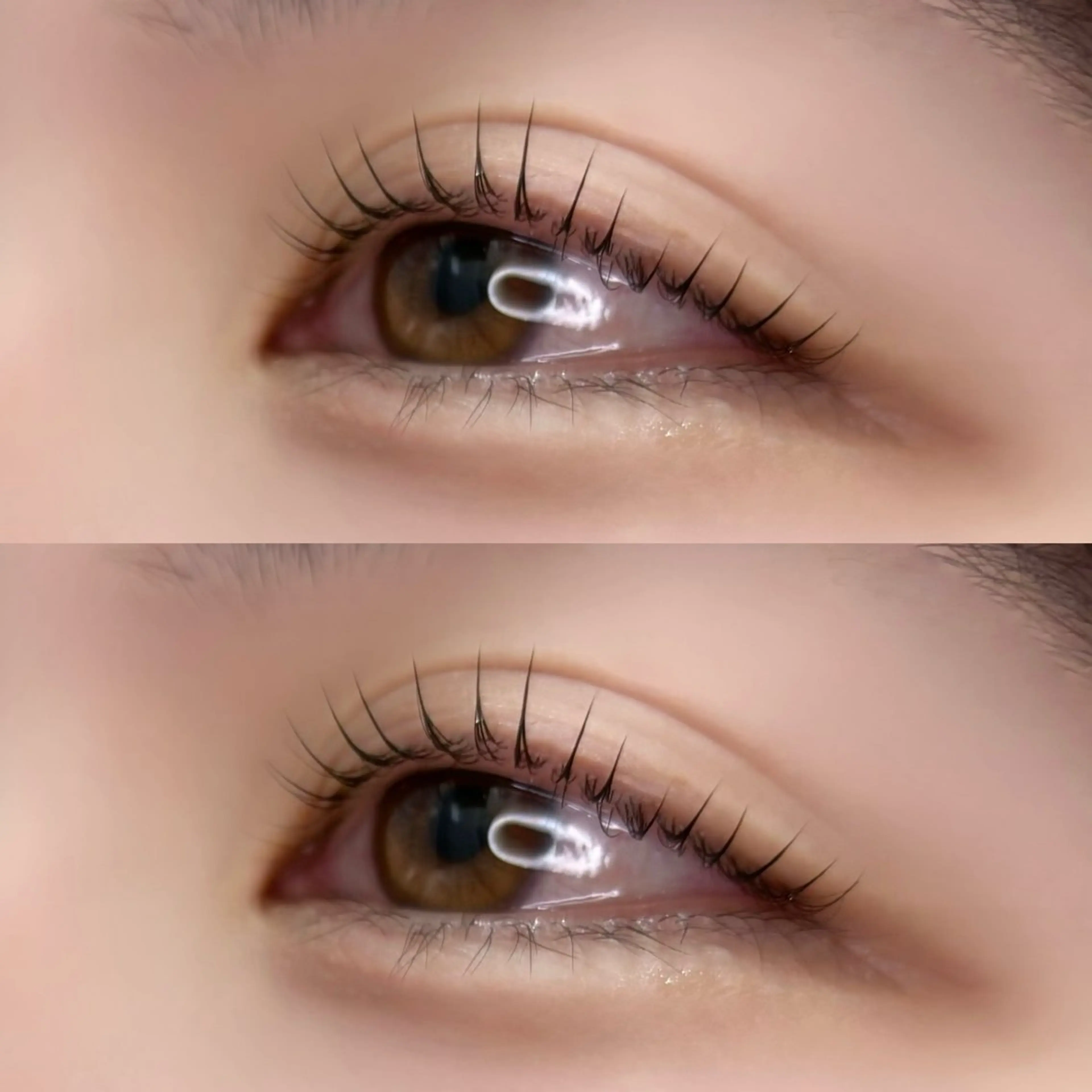 【学割】まつ毛パーマ×束間仕上げ🎀の写真