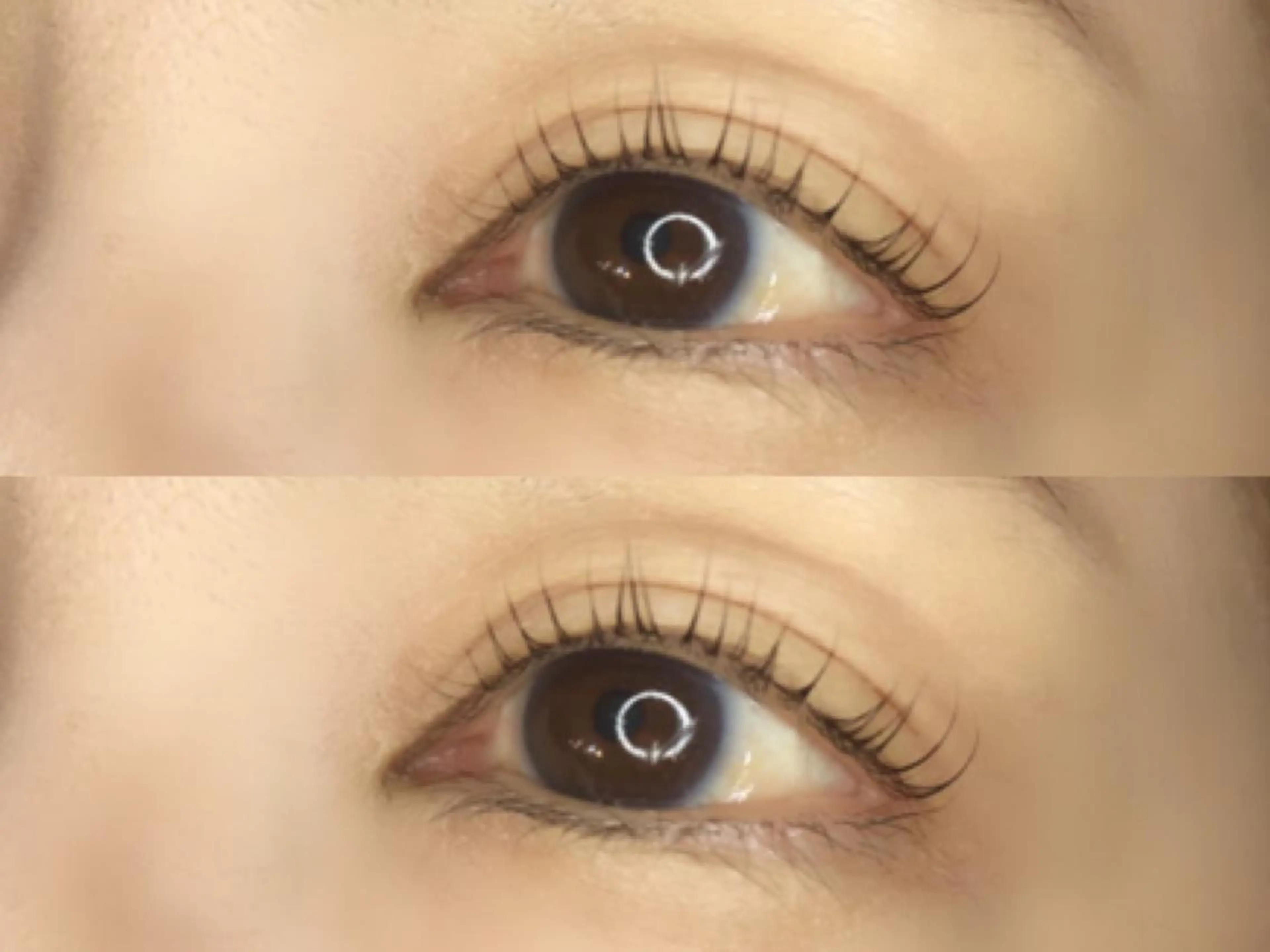 マツエク・マツパ マツパ 《eyelash ｉｉｔｅ》森のマツエク・マツパデザイン