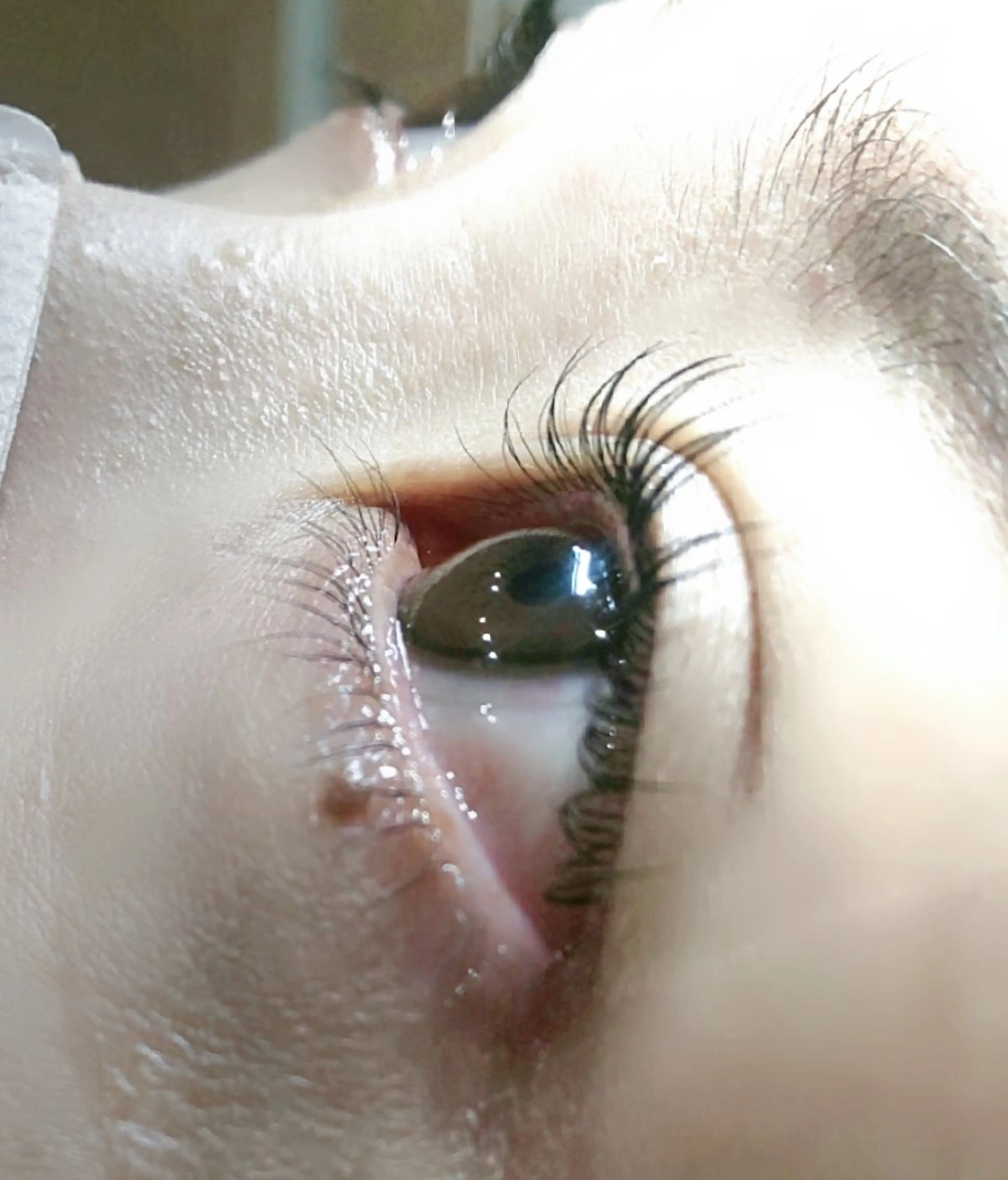 マツエク・マツパ パリジェンヌラッシュリフト eyelash & eyebrow vif所属・vif  ｳﾞｨﾌ   川村のマツエク・マツパデザイン