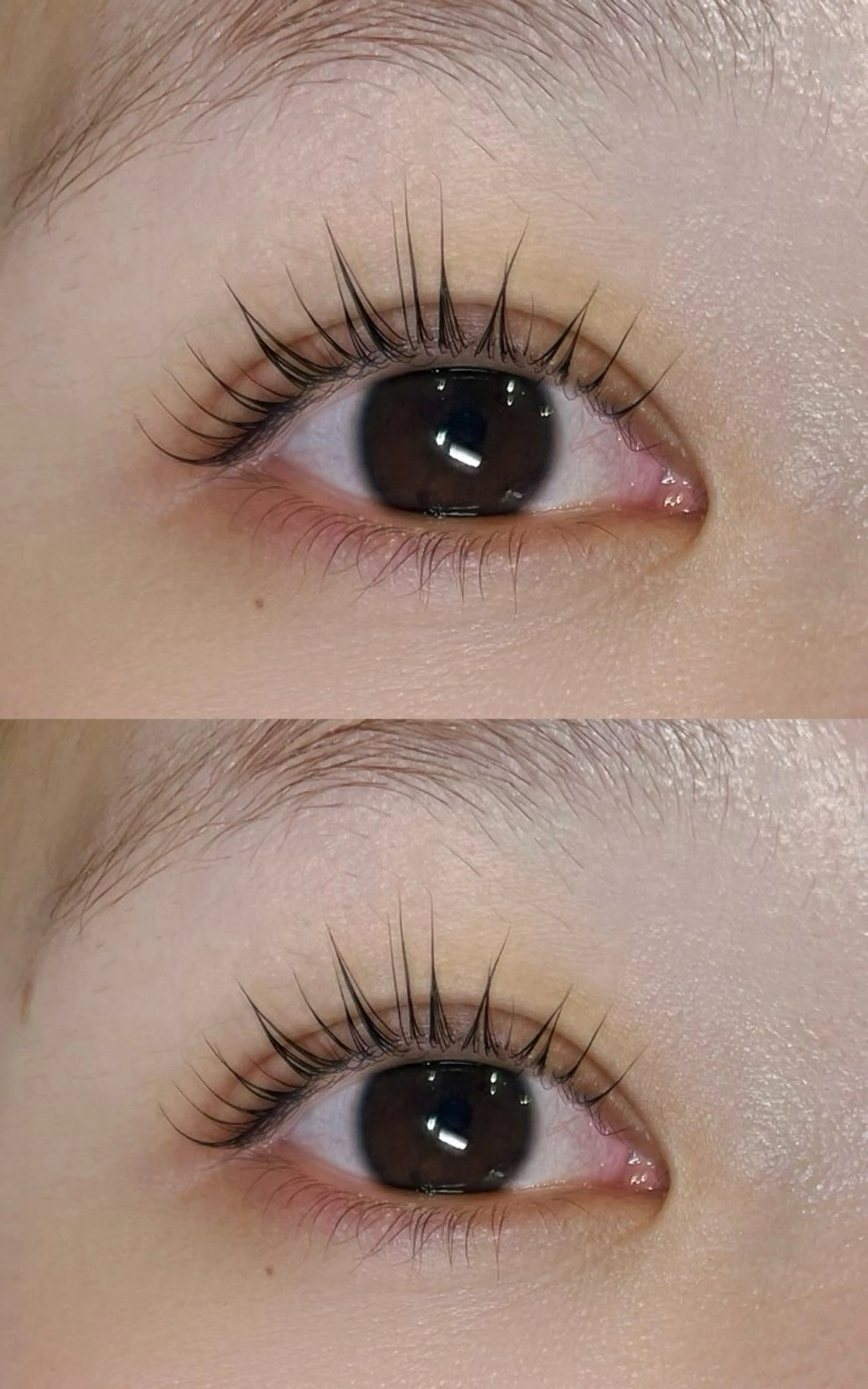マツエク・マツパ まつげパーマ 下まつげエクステ Eyelash yumaのマツエク・マツパデザイン