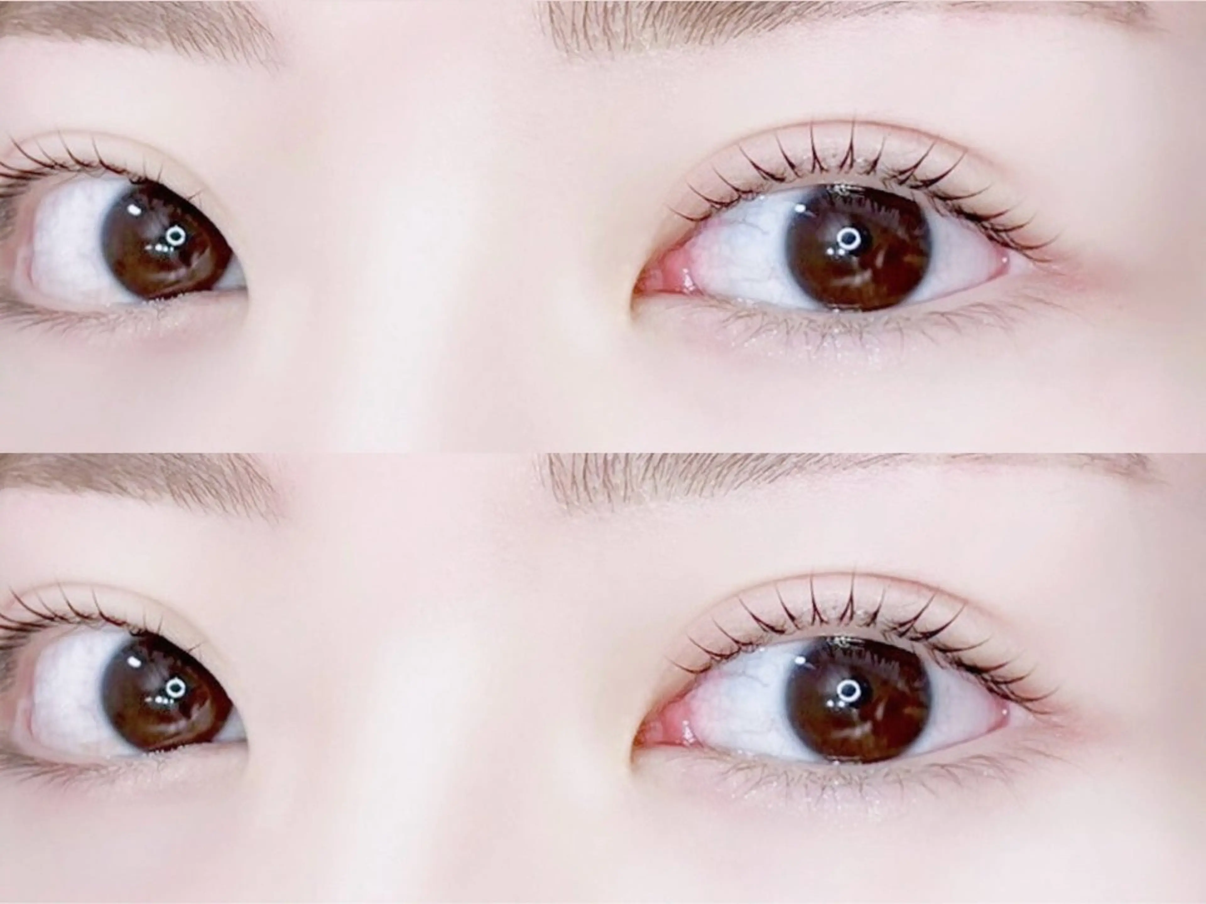 【30.31限定‼️🈳】まつげパーマ👀の写真