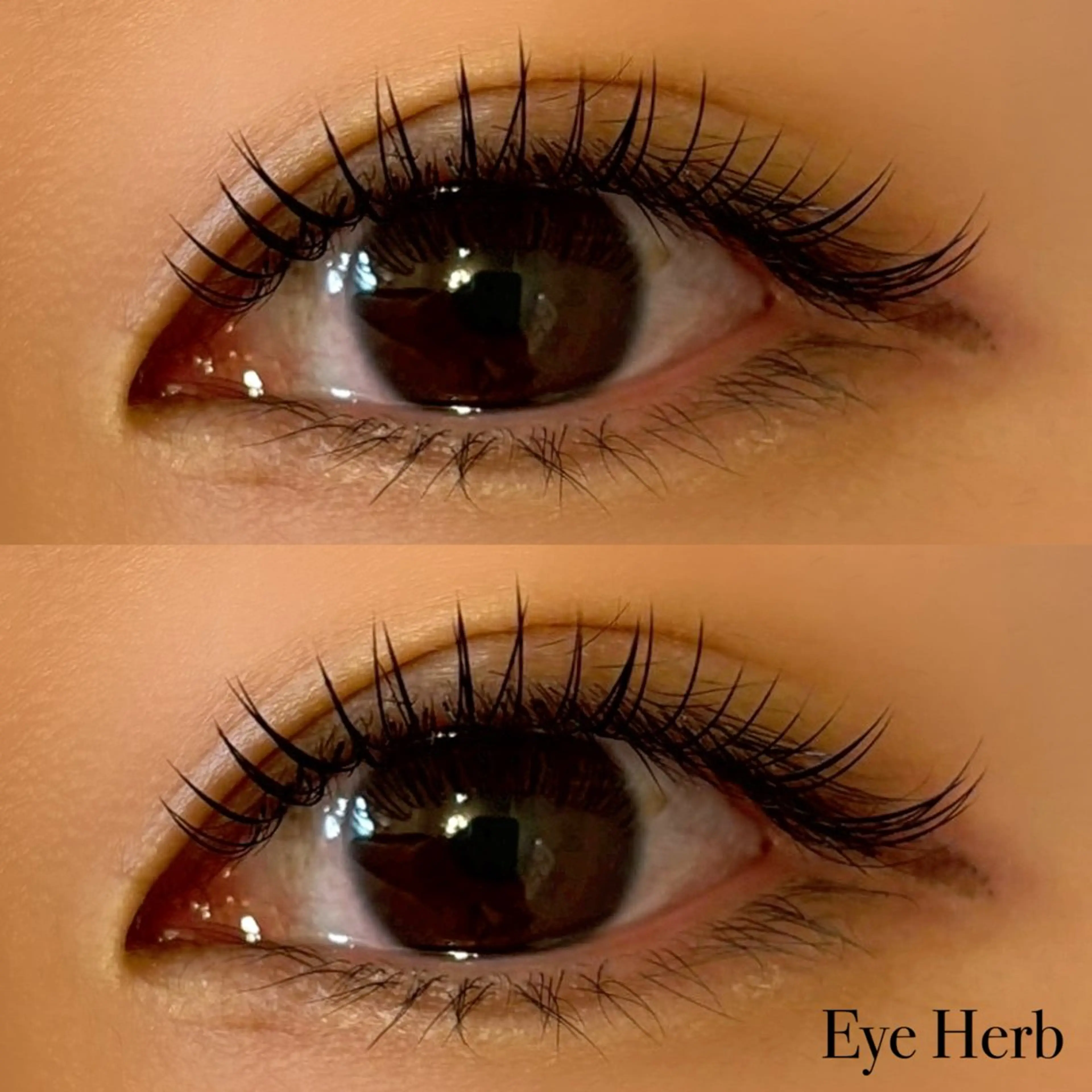 マツエク・マツパ フラットラッシュ マツエク EyeHerb ♡rinのマツエク・マツパデザイン