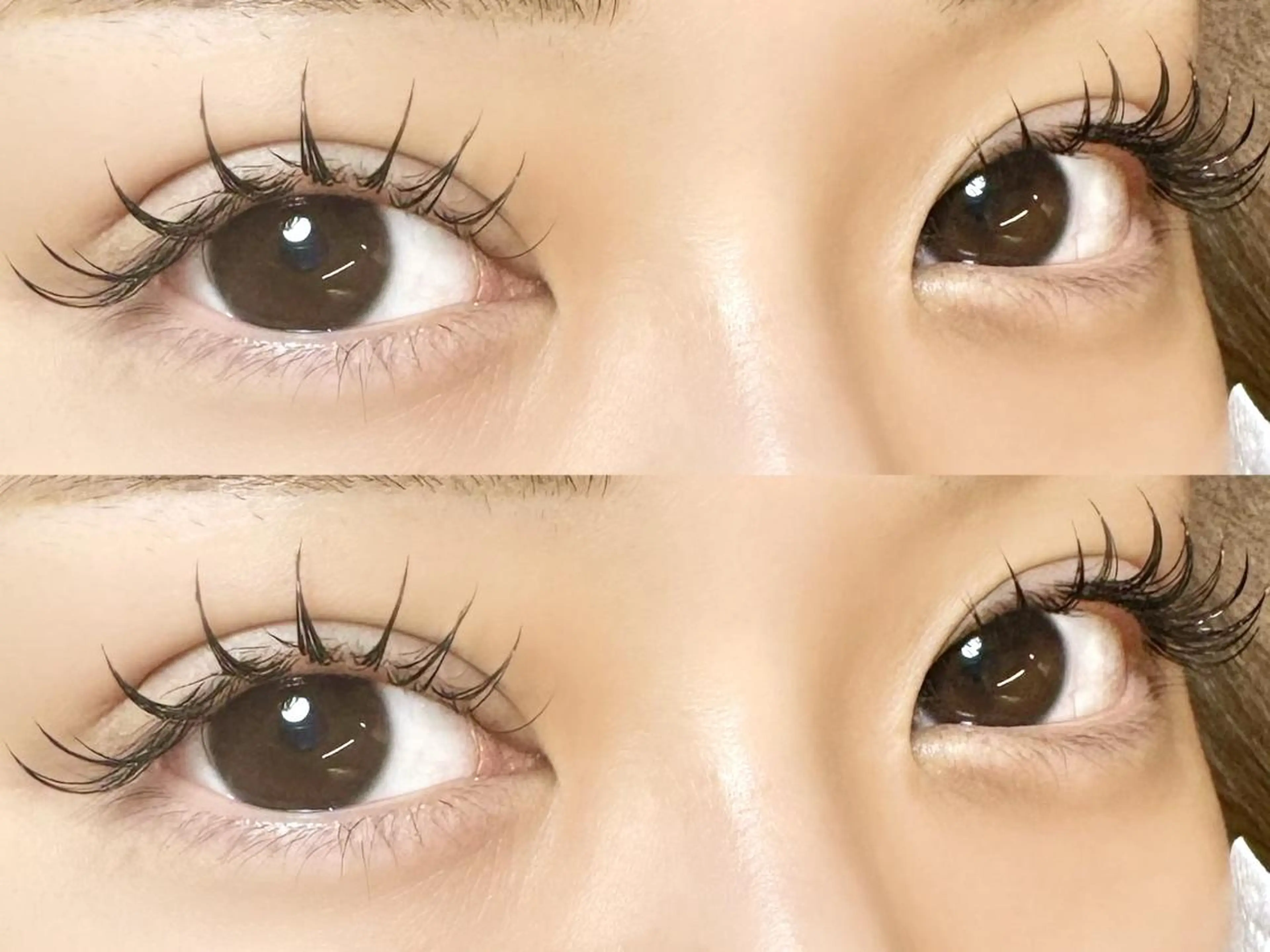 マツエク・マツパ 束感まつ毛 フラットラッシュ 韓国風マツエク マツエク 🪽fein.🪽 eye&nail💞のネイルデザイン