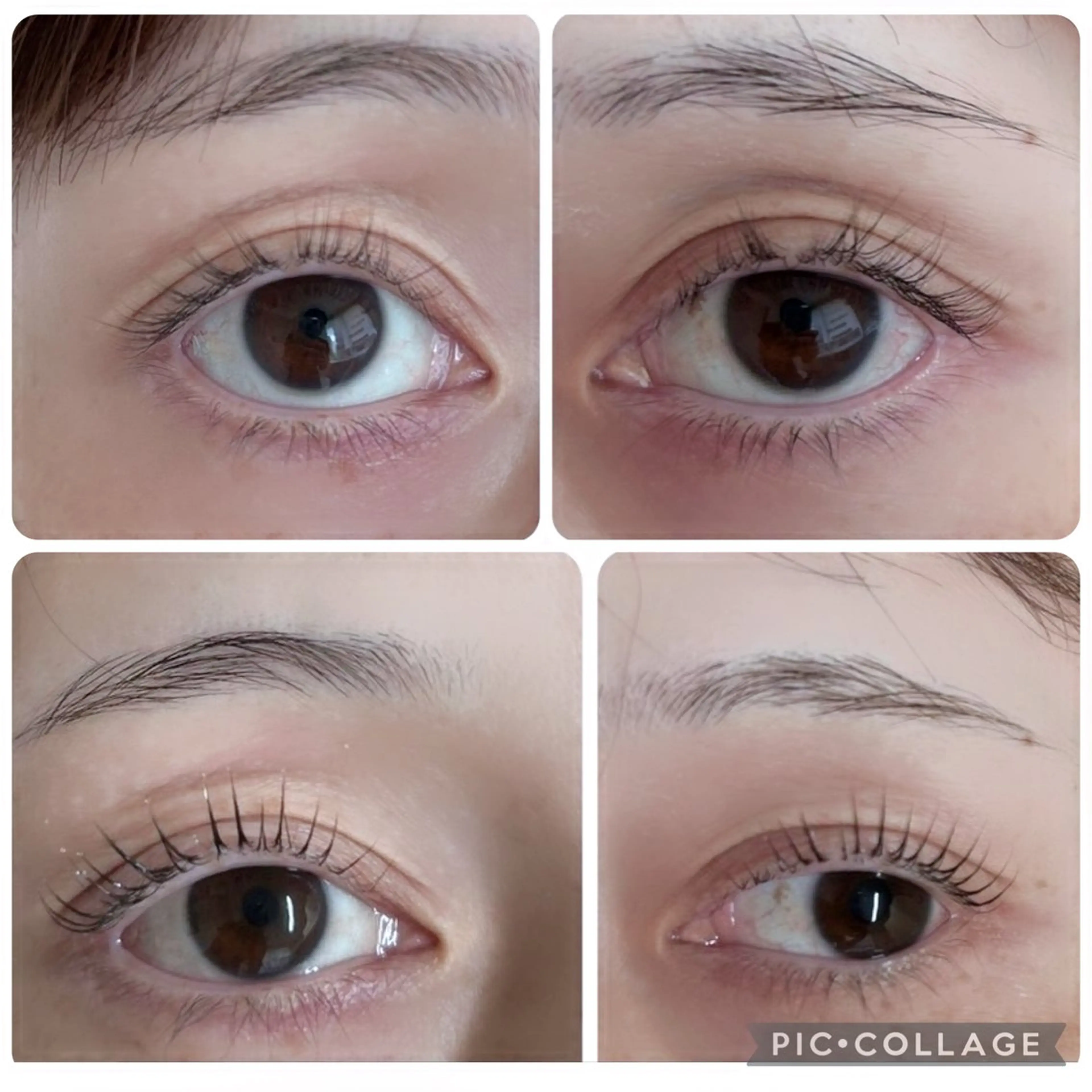 マツエク・マツパ まつげパーマ WHITE  EYE 関内店所属・WHITE EYE MOMOの眉毛・アイブロウイメージ