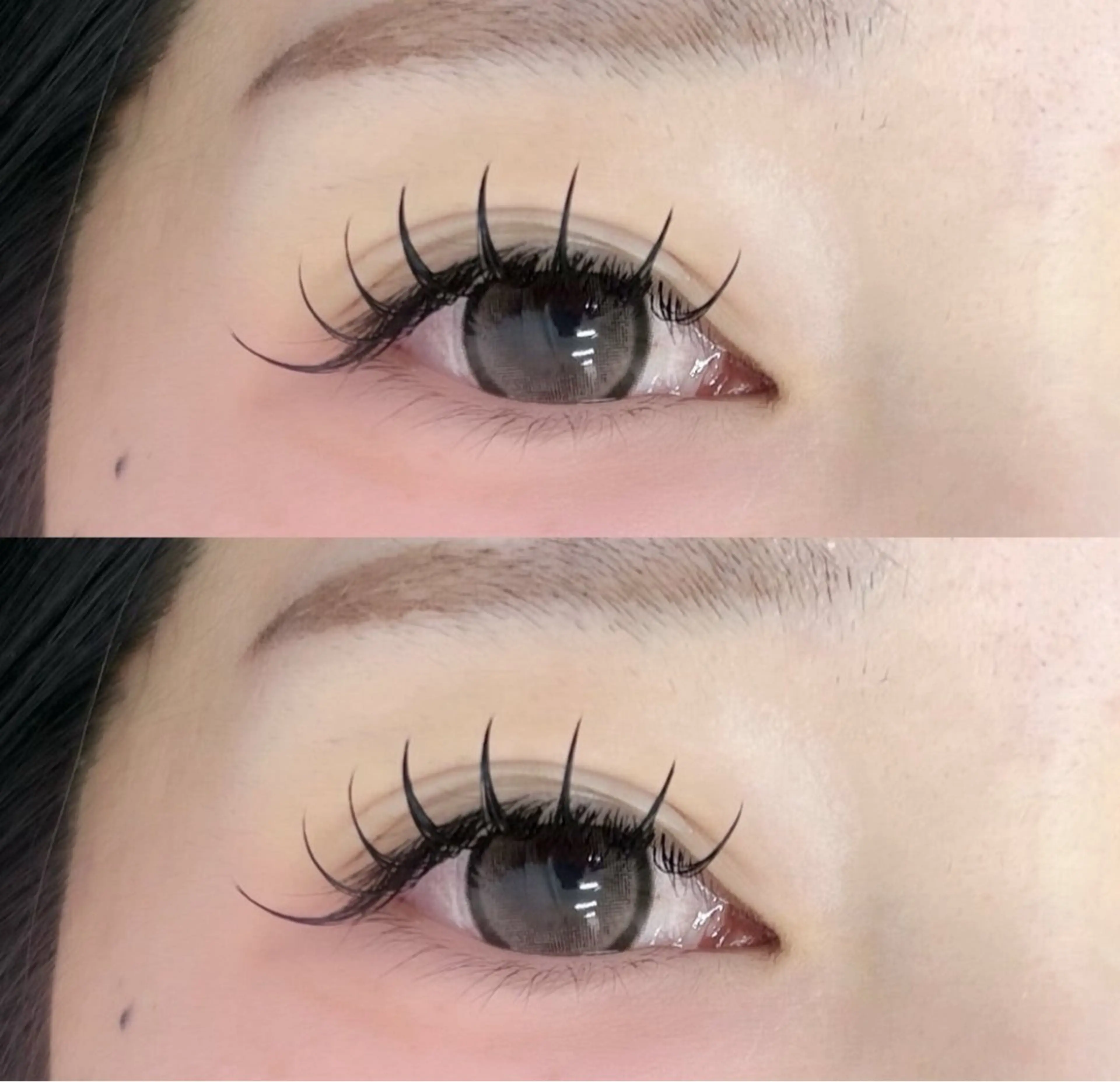 フラッシュラッシュ140本の写真