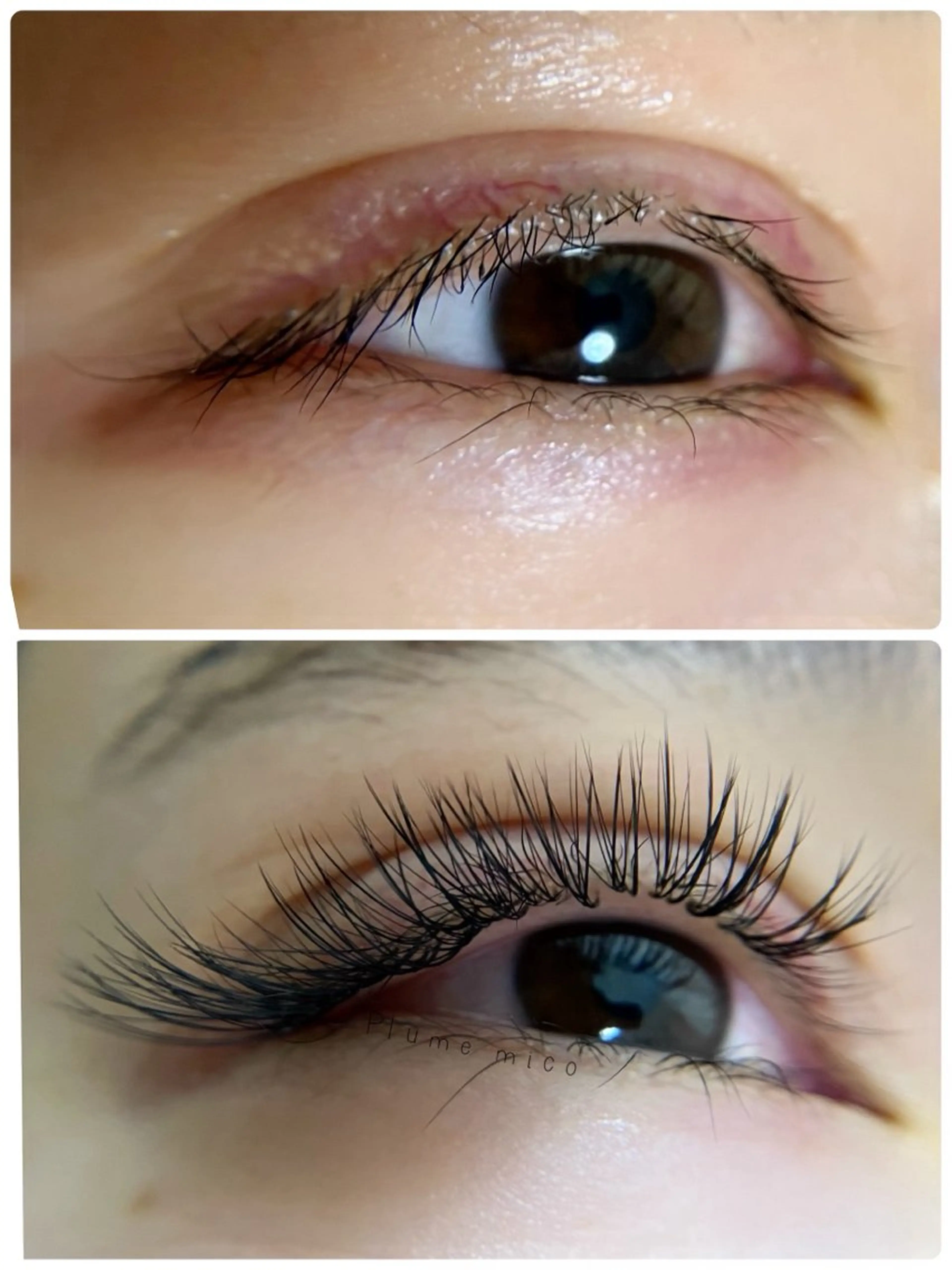 マツエク・マツパ マツエク Plume micoのマツエク・マツパデザイン