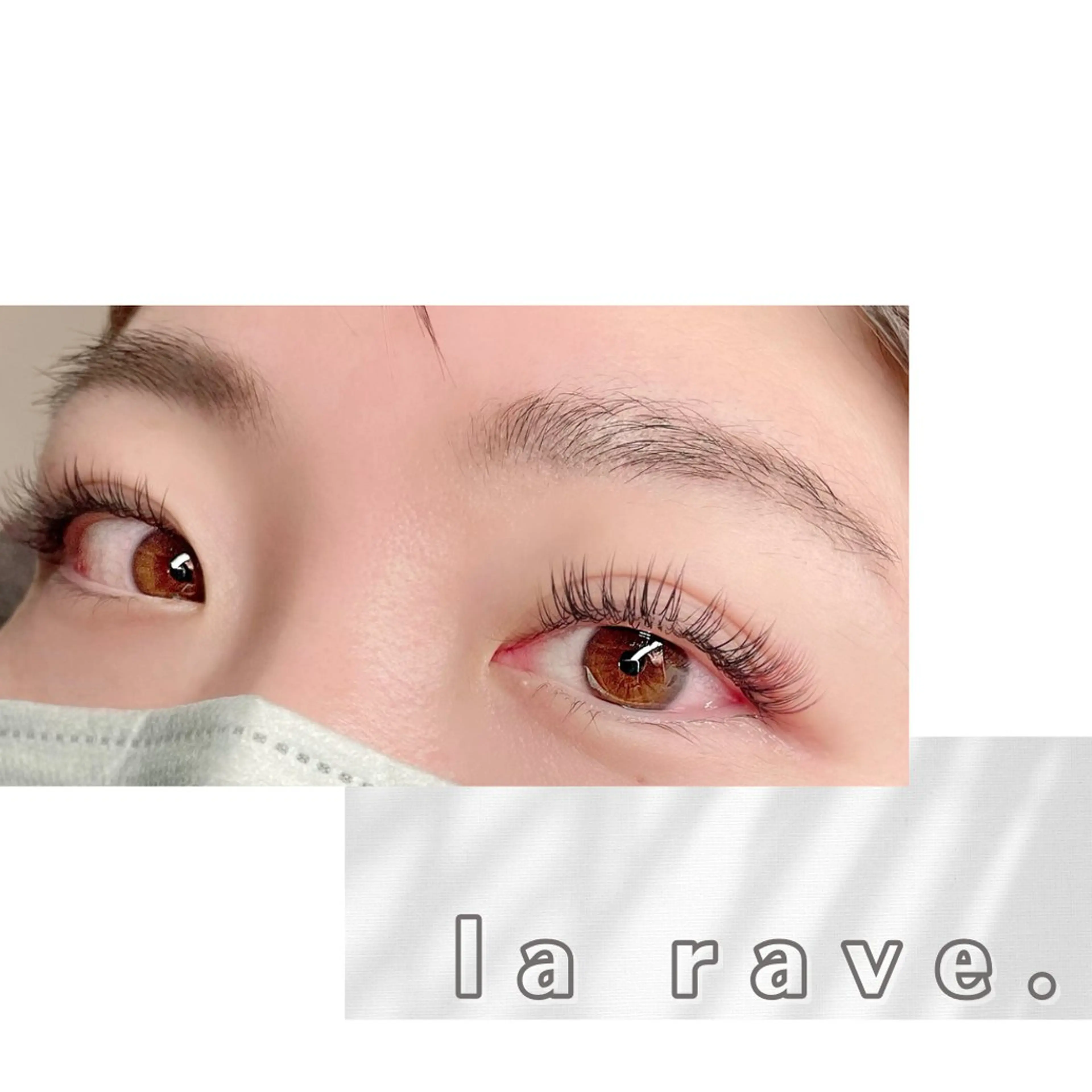 アンドヘルシー×バインドロック100束の写真