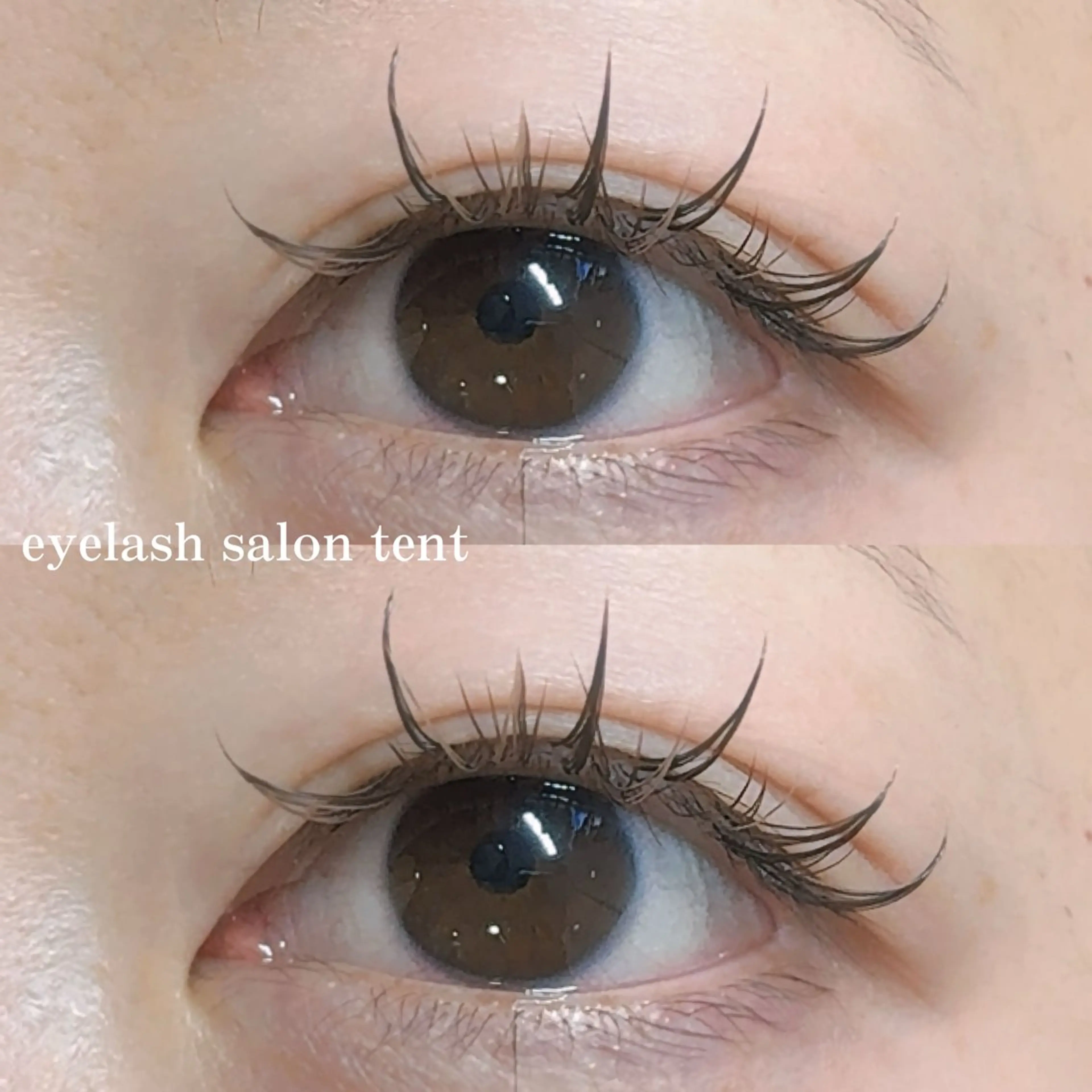 マツエク・マツパ ワンホンマツエク 🍒eyelash tent🍒のマツエク・マツパデザイン