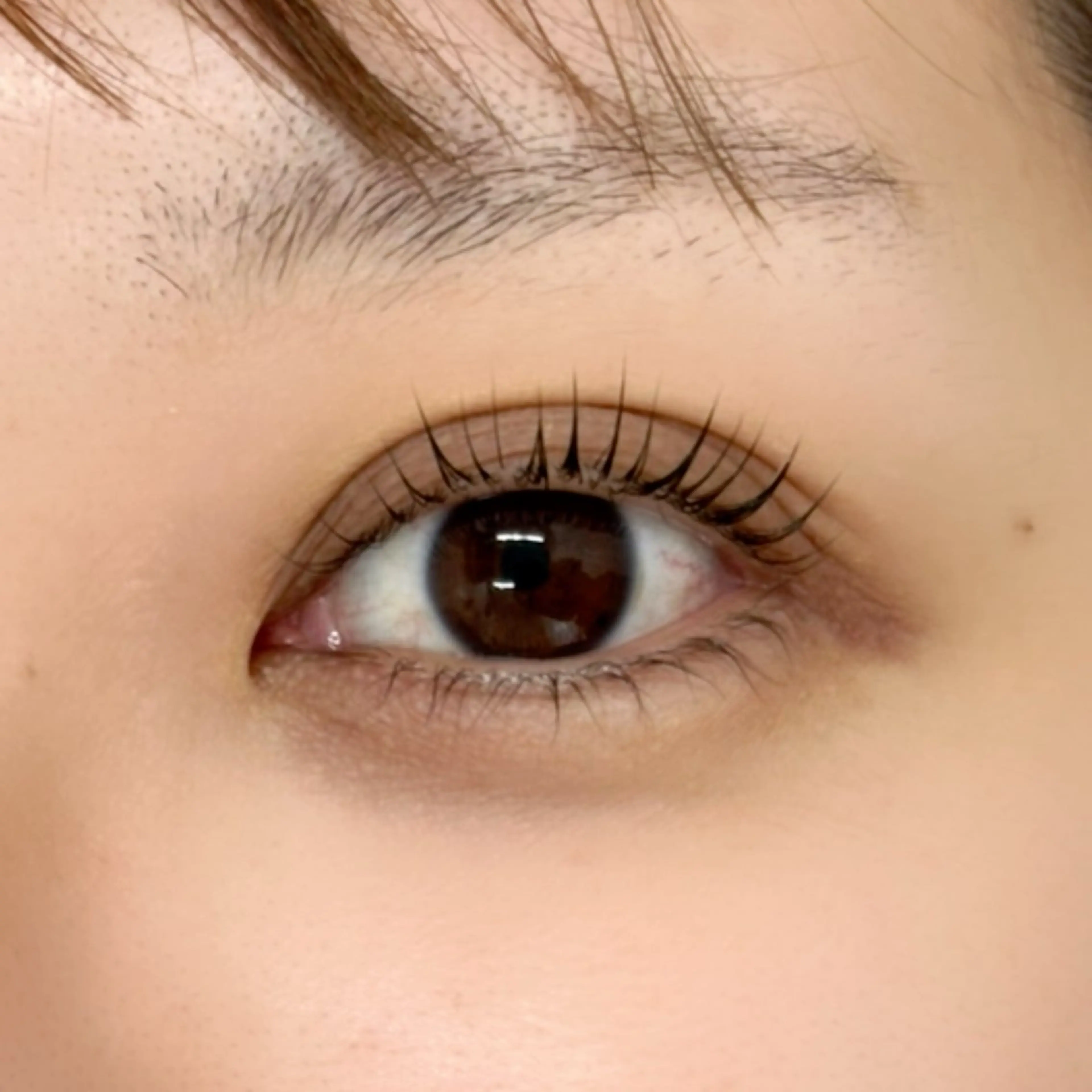 マツエク・マツパ マツパ eyelash LOOPのマツエク・マツパデザイン