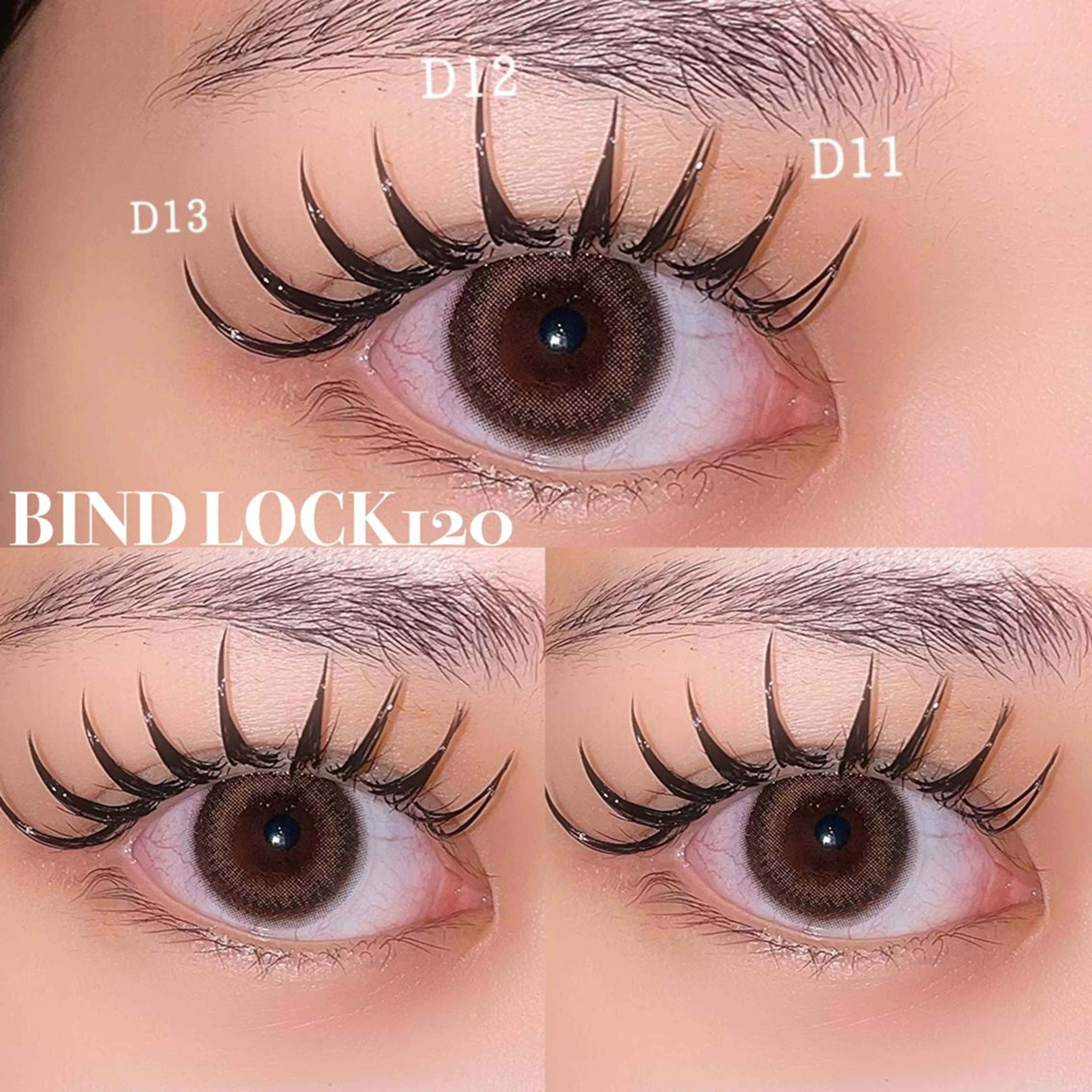 💐バインドロック or Wフラットラッシュ100束の写真