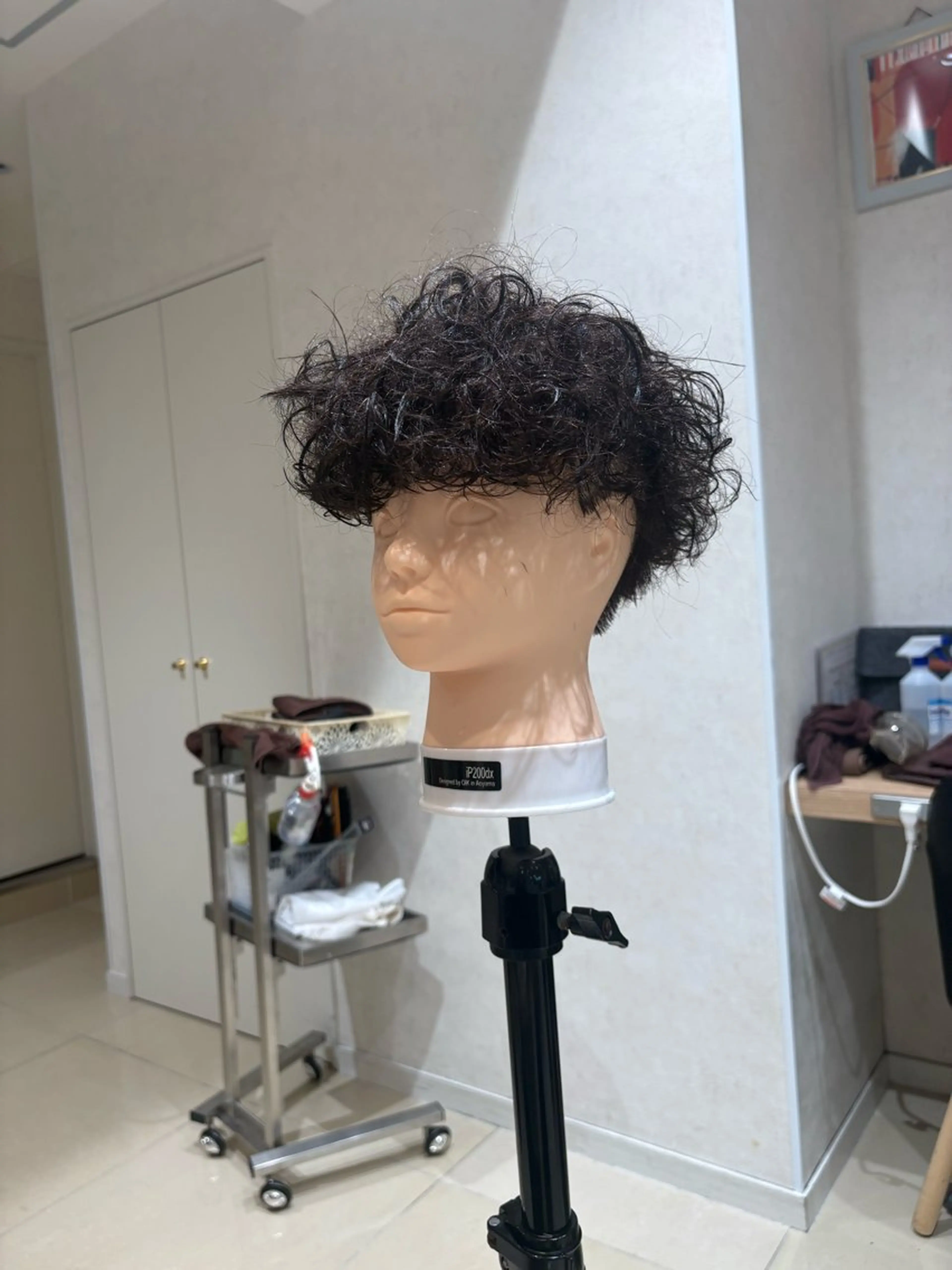 パーマ プードルパーマ パーマ 艶カラー/縮毛矯正/ 特殊パーマ/haruのヘアスタイル