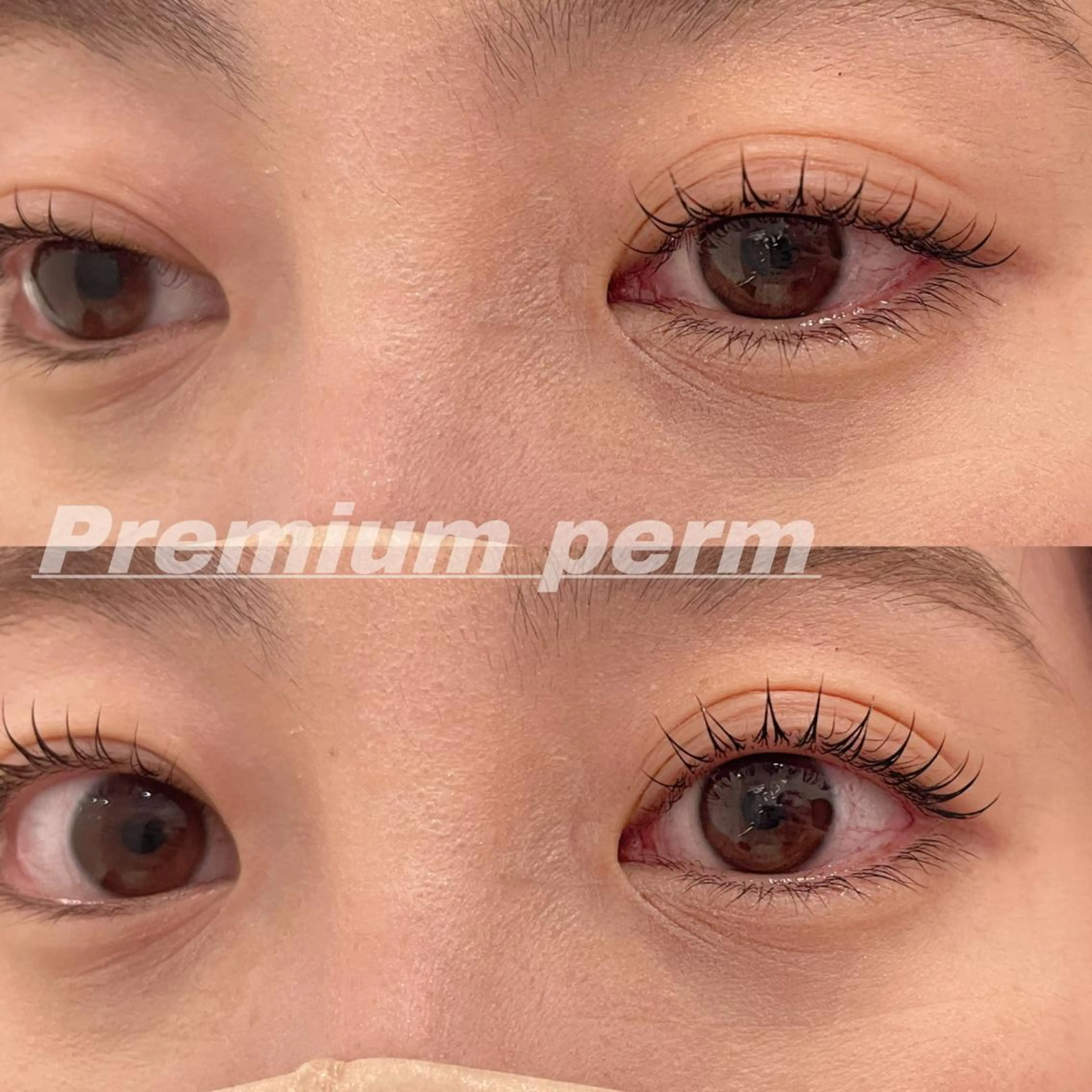 マツエク・マツパ 束感まつ毛 一重×まつ毛パーマ マツパ Eye ELSA lash栄店 長沼の眉毛・アイブロウイメージ