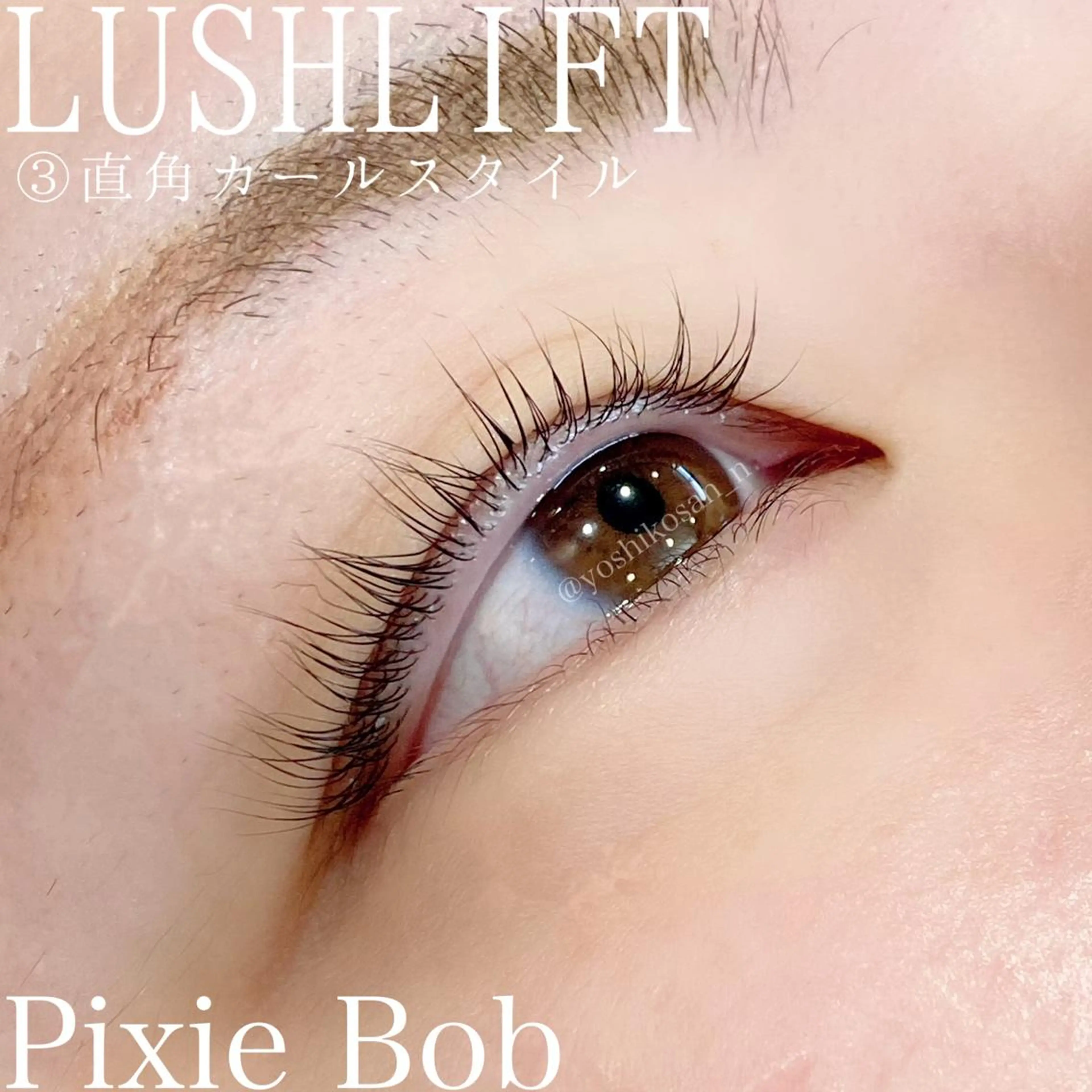 マツエク・マツパ カラーマツエク マツパ Pixie Bob 🐈‍⬛　位田のヘアスタイル