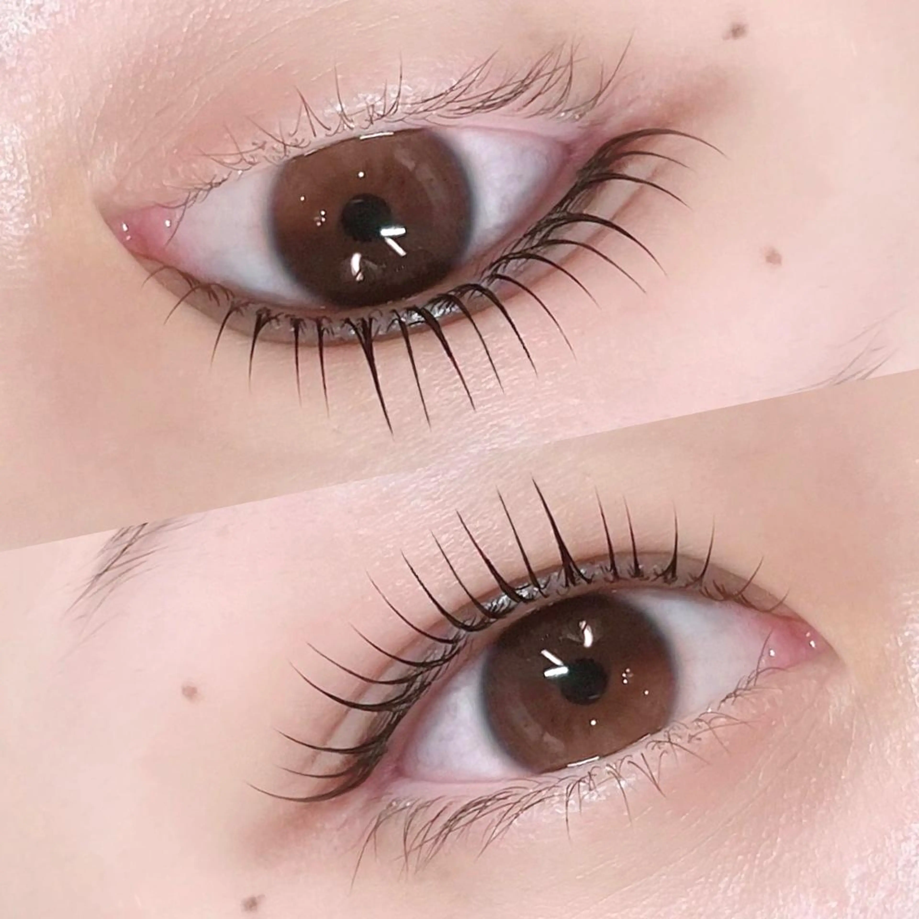 マツエク・マツパ マツパ Halte eyelashのマツエク・マツパデザイン