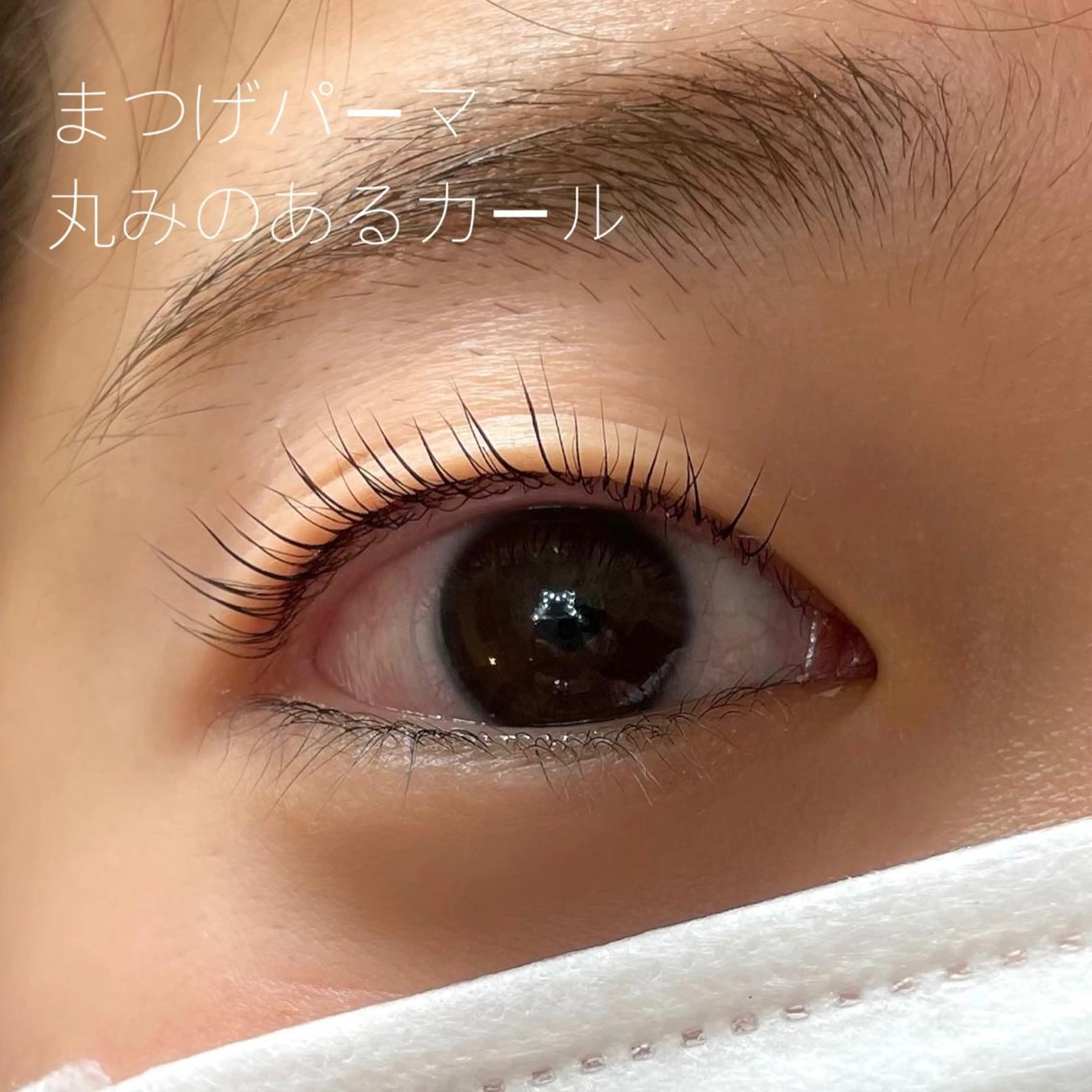 マツエク・マツパ GO TODAY SHAiRE SALON Vellmie店所属・吉祥寺kasumi 🌛eye/browのマツエク・マツパデザイン