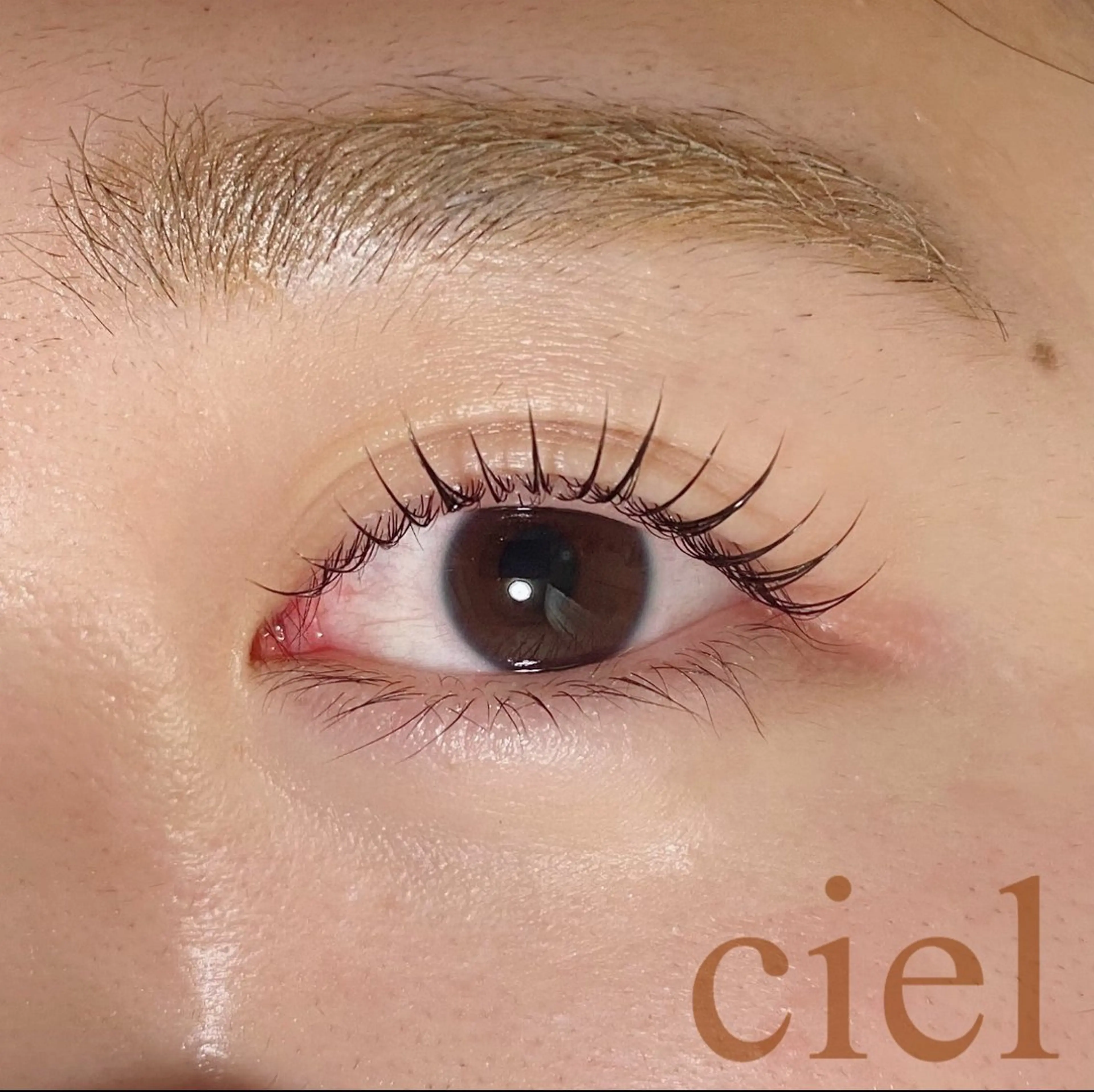 マツエク・マツパ 一重×まつ毛パーマ ciel 瑞江のマツエク・マツパデザイン