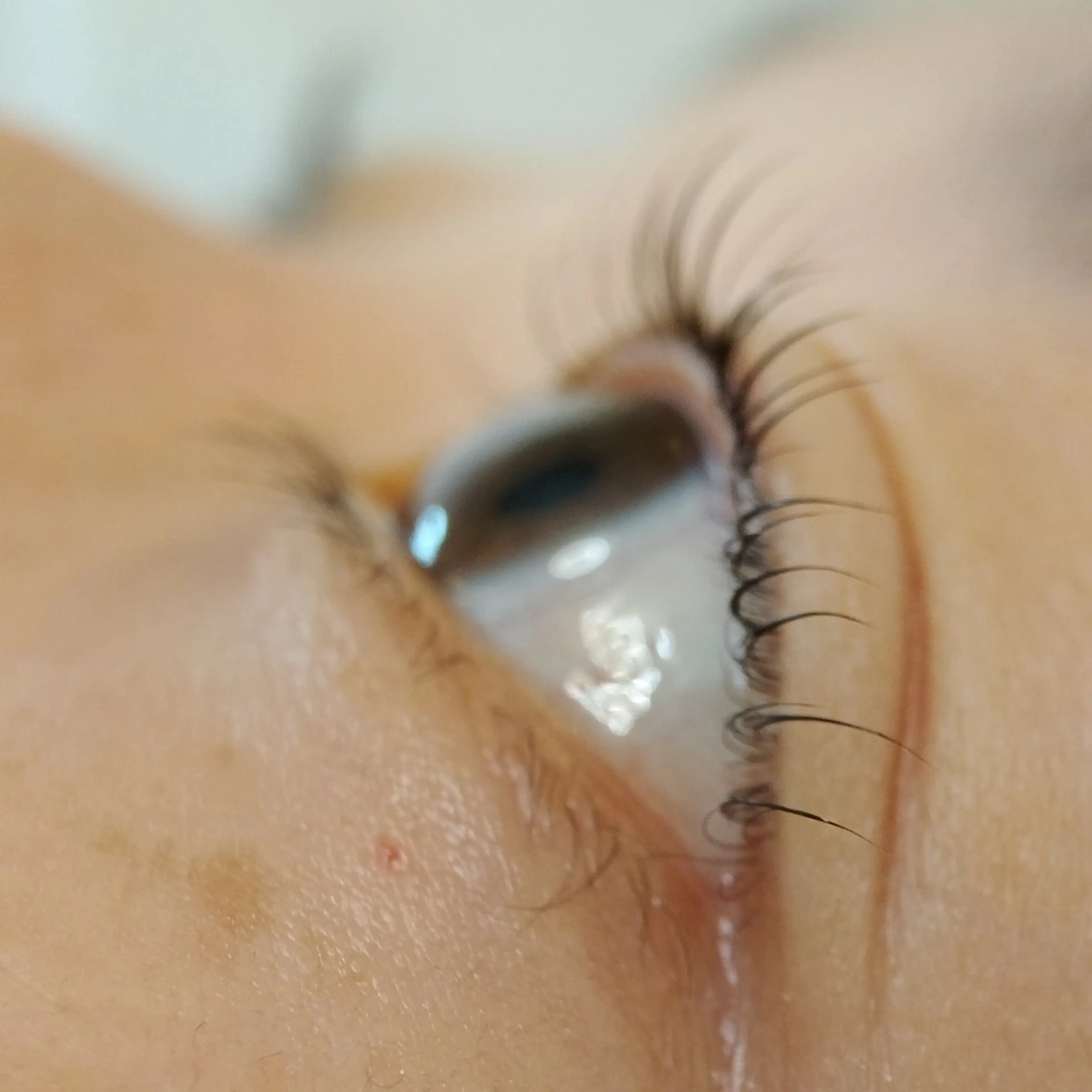 マツエク・マツパ 一重×まつ毛パーマ mys.所属・I ちゆきのマツエク・マツパデザイン