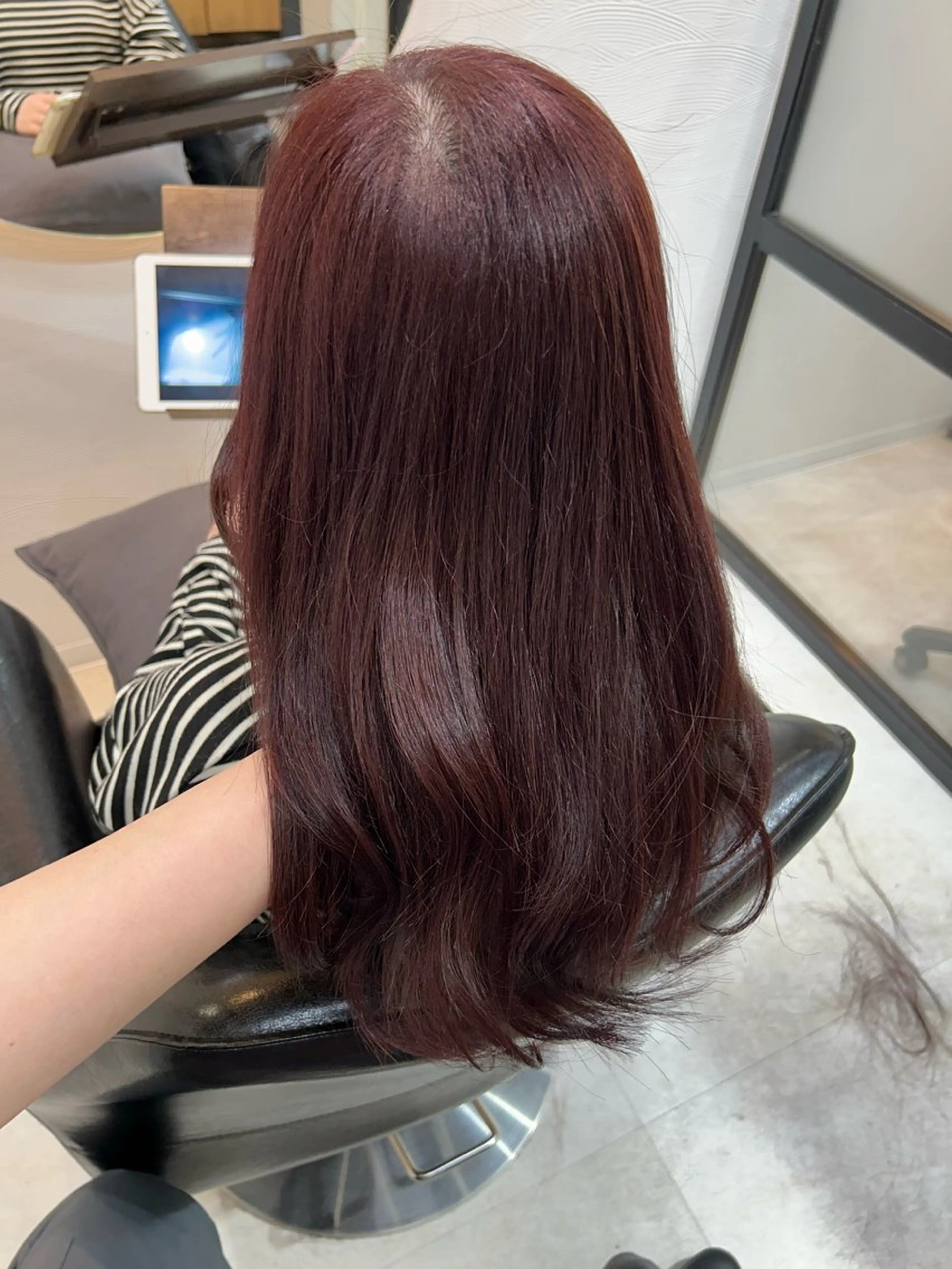 ミディアム カラー カット ヘアカラー トリートメント 🤍透明感/韓国風 🤍サクラギヒトミのヘアスタイル