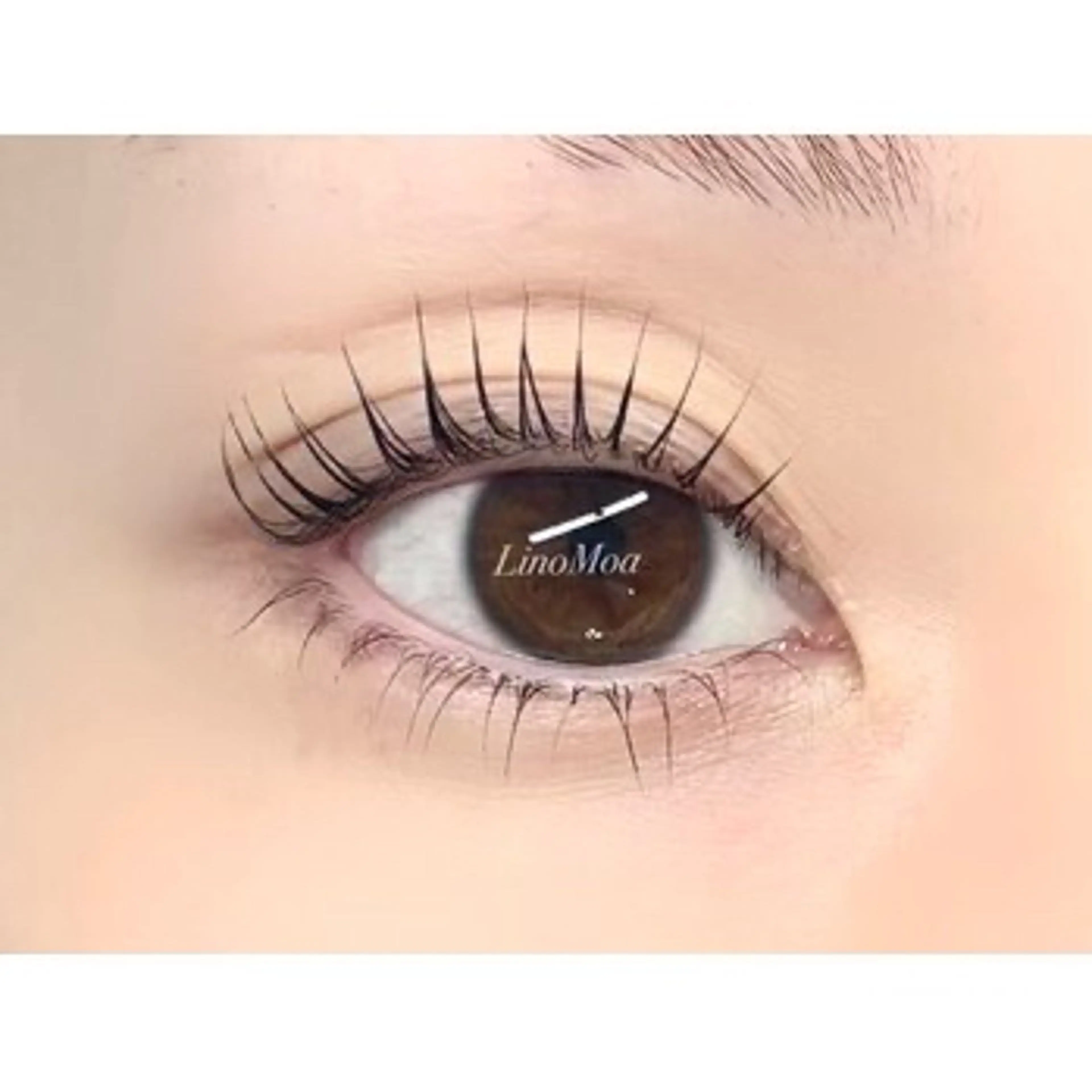 マツエク・マツパ まつげパーマ 下まつげエクステ LinoMoa 蒲田店のマツエク・マツパデザイン