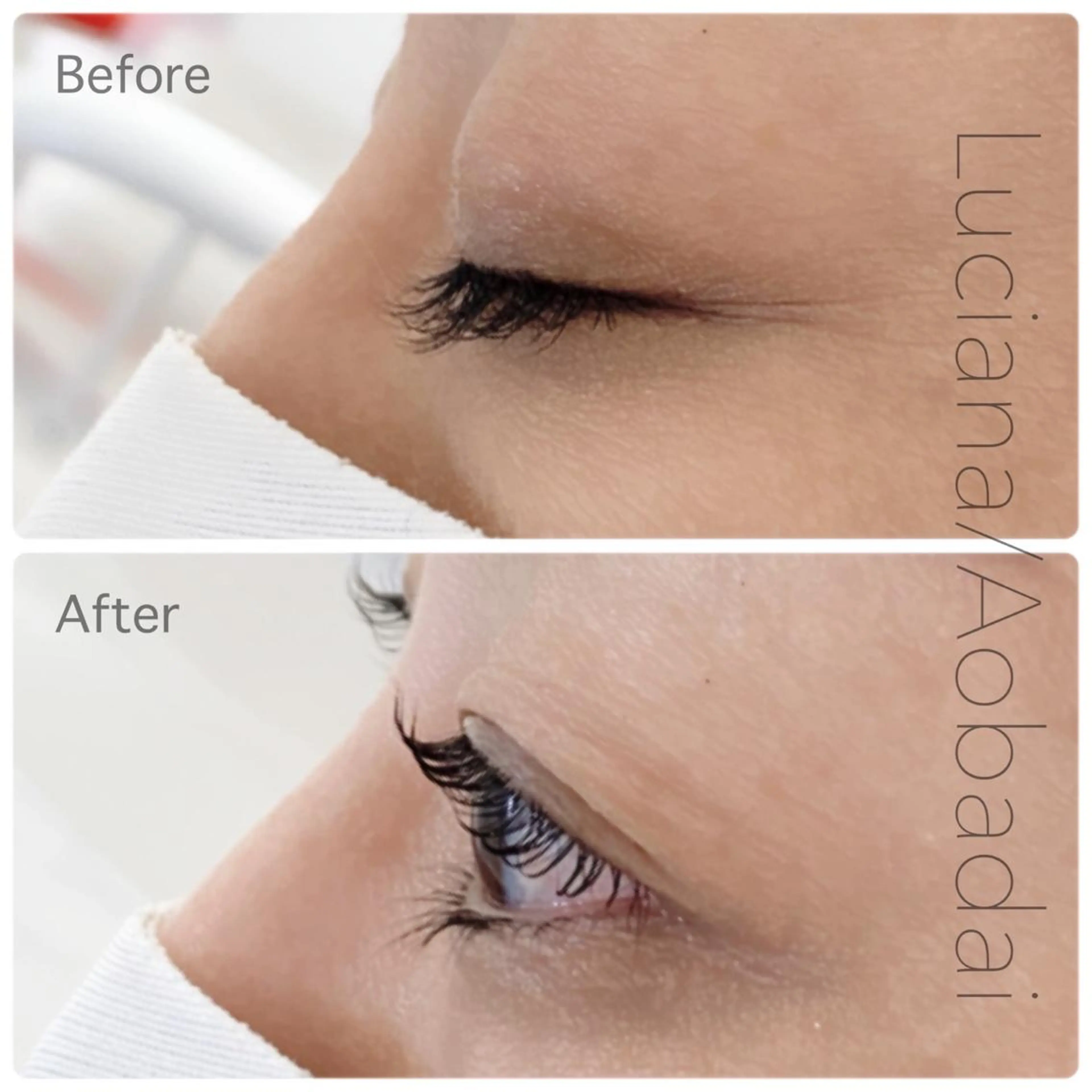 🦋次世代まつ毛パーマ👀✨プレミアム美容液使用🕊の写真