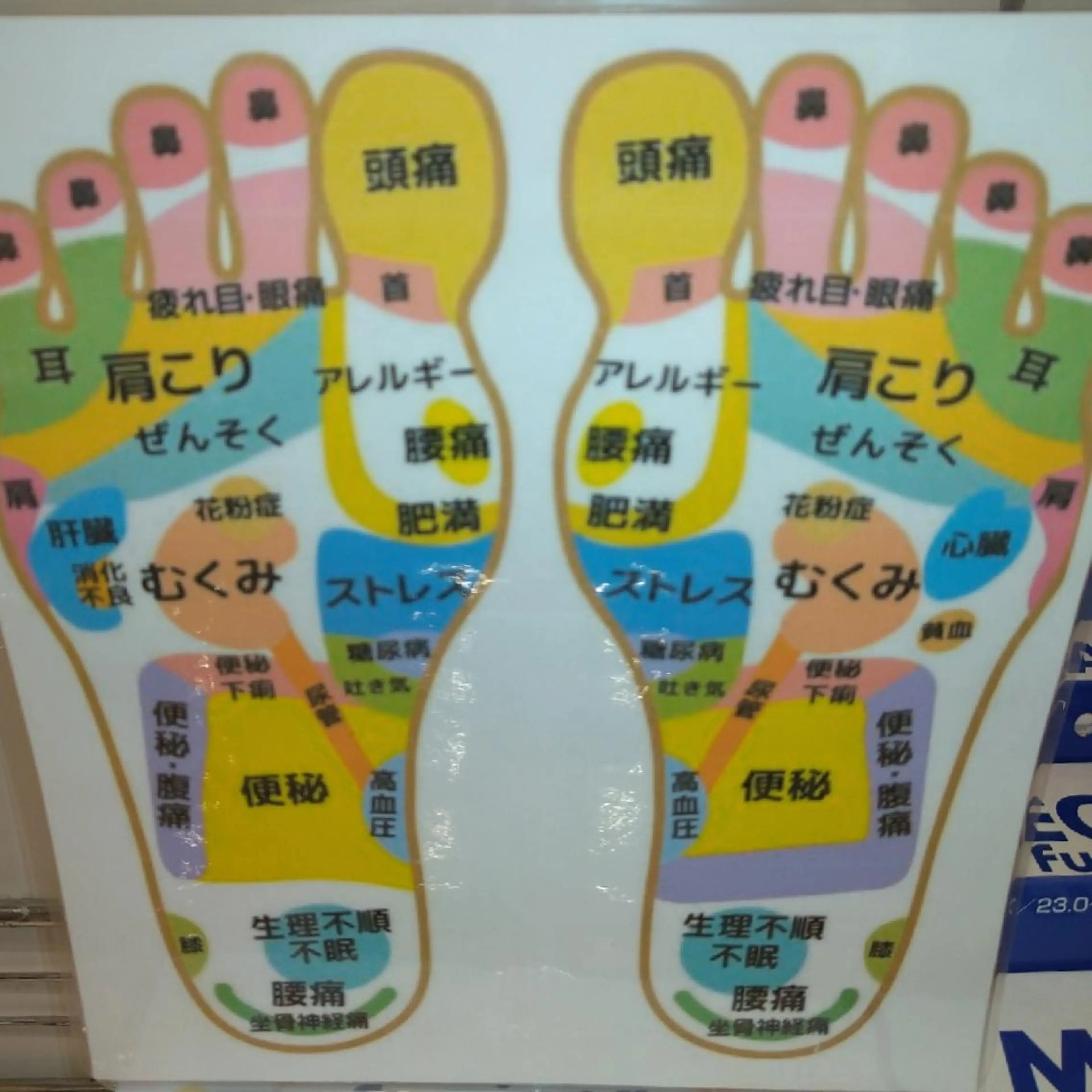 山本 ひろ美のその他イメージ