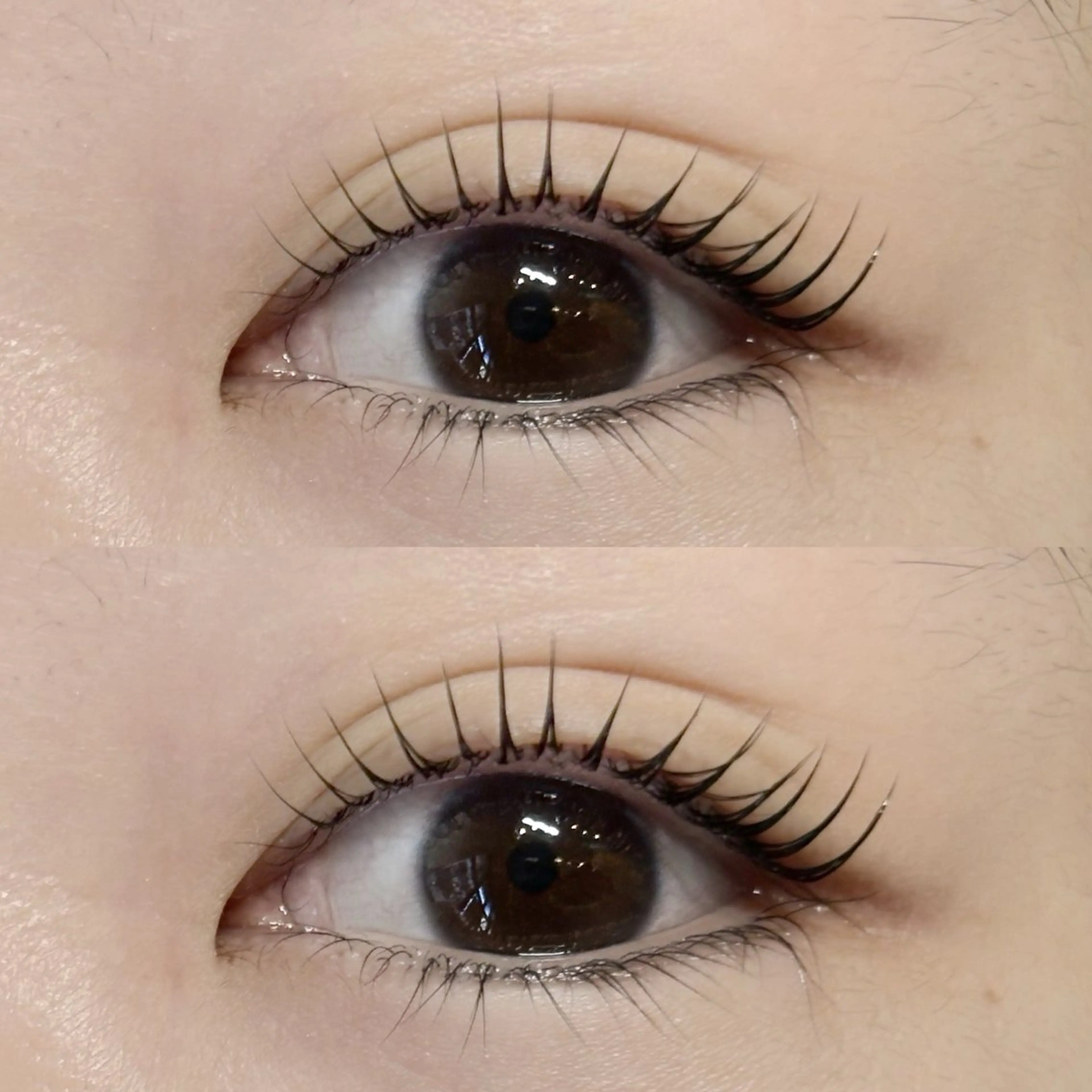 マツエク・マツパ パリジェンヌラッシュリフト マツパ lino eyelash&eyebrow淡路店所属・【lino】 Reina🎀のマツエク・マツパデザイン