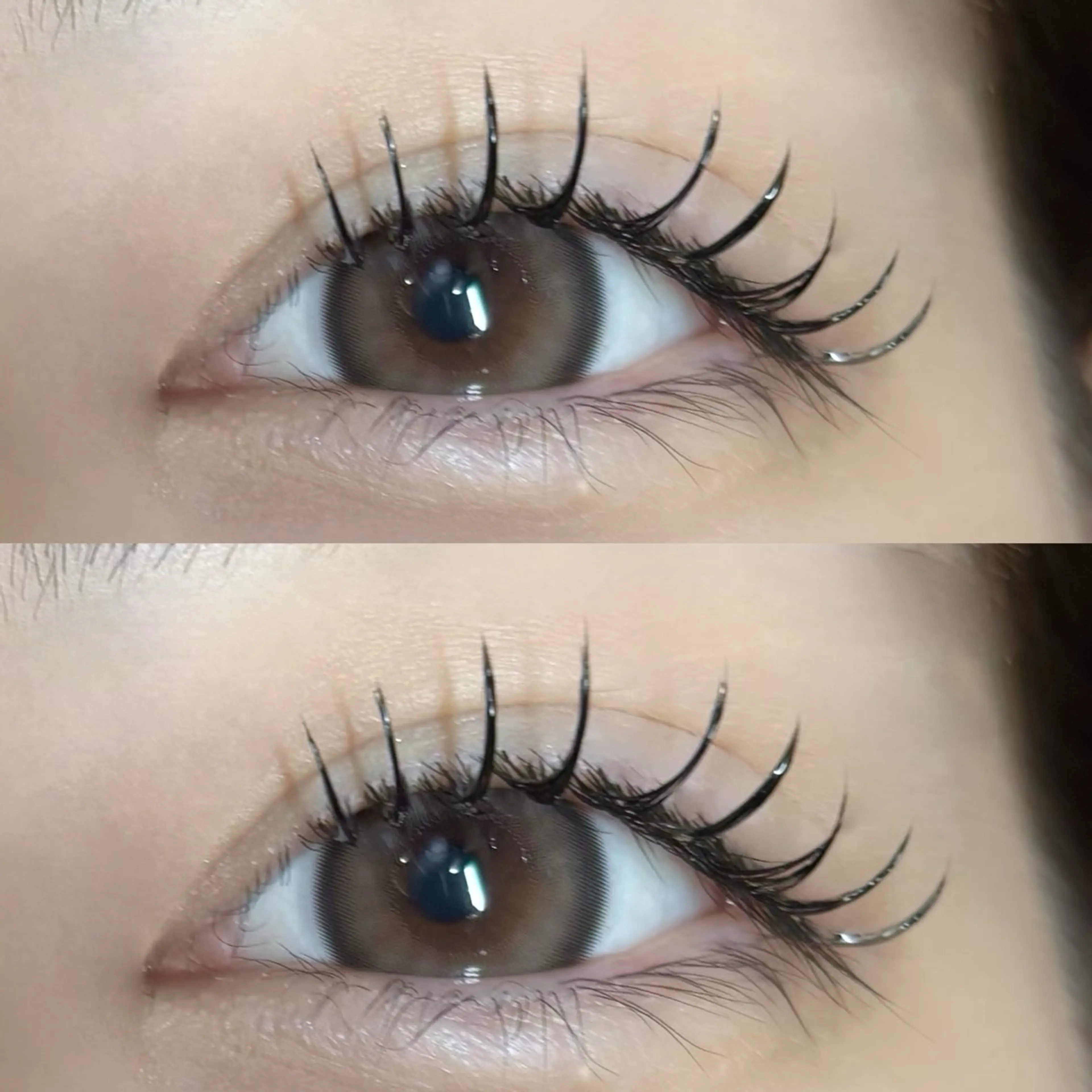 フラットラッシュシングルエクステ140本/付け足し◎の写真