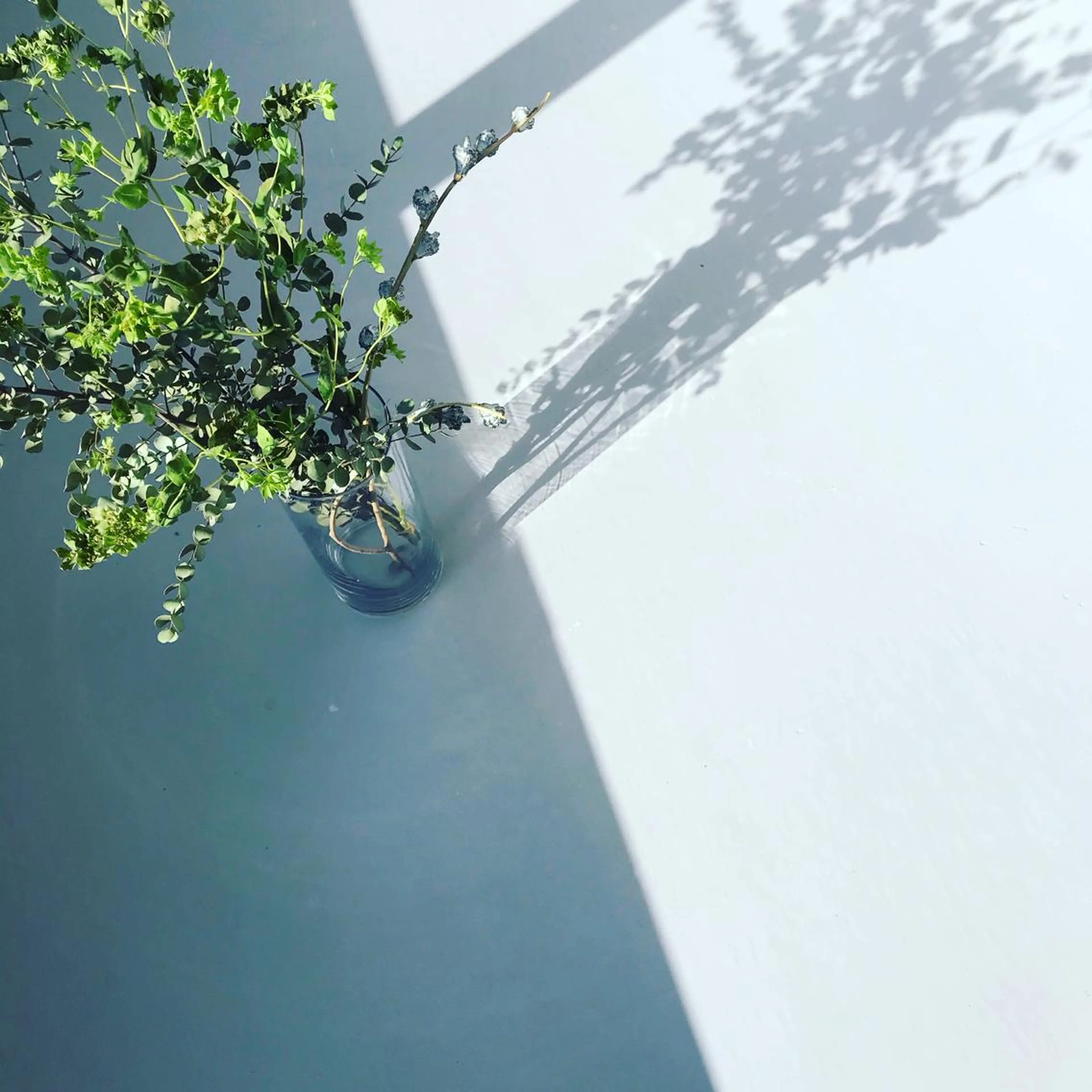 ハンドジェルオフ+爪の長さ形整え+爪磨き+補強剤入りベースコート塗布(クリア)の写真