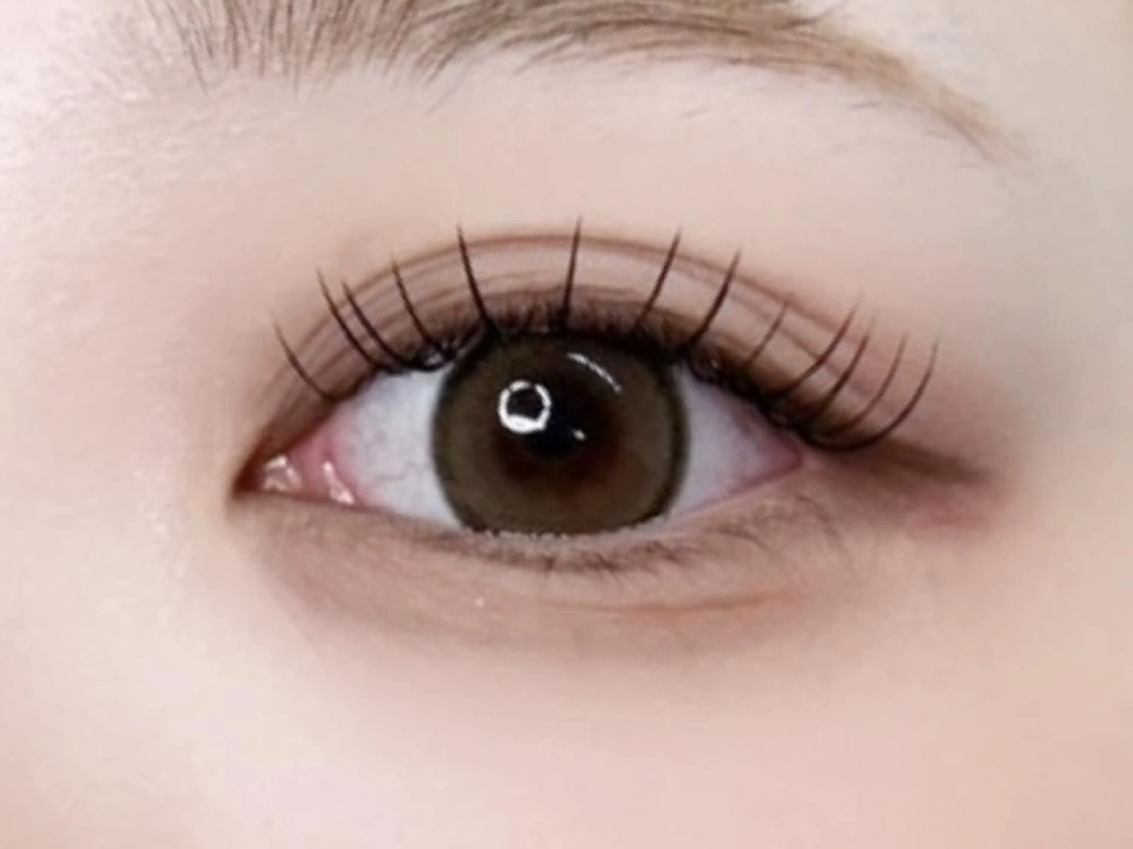 フラットラッシュ120本の写真