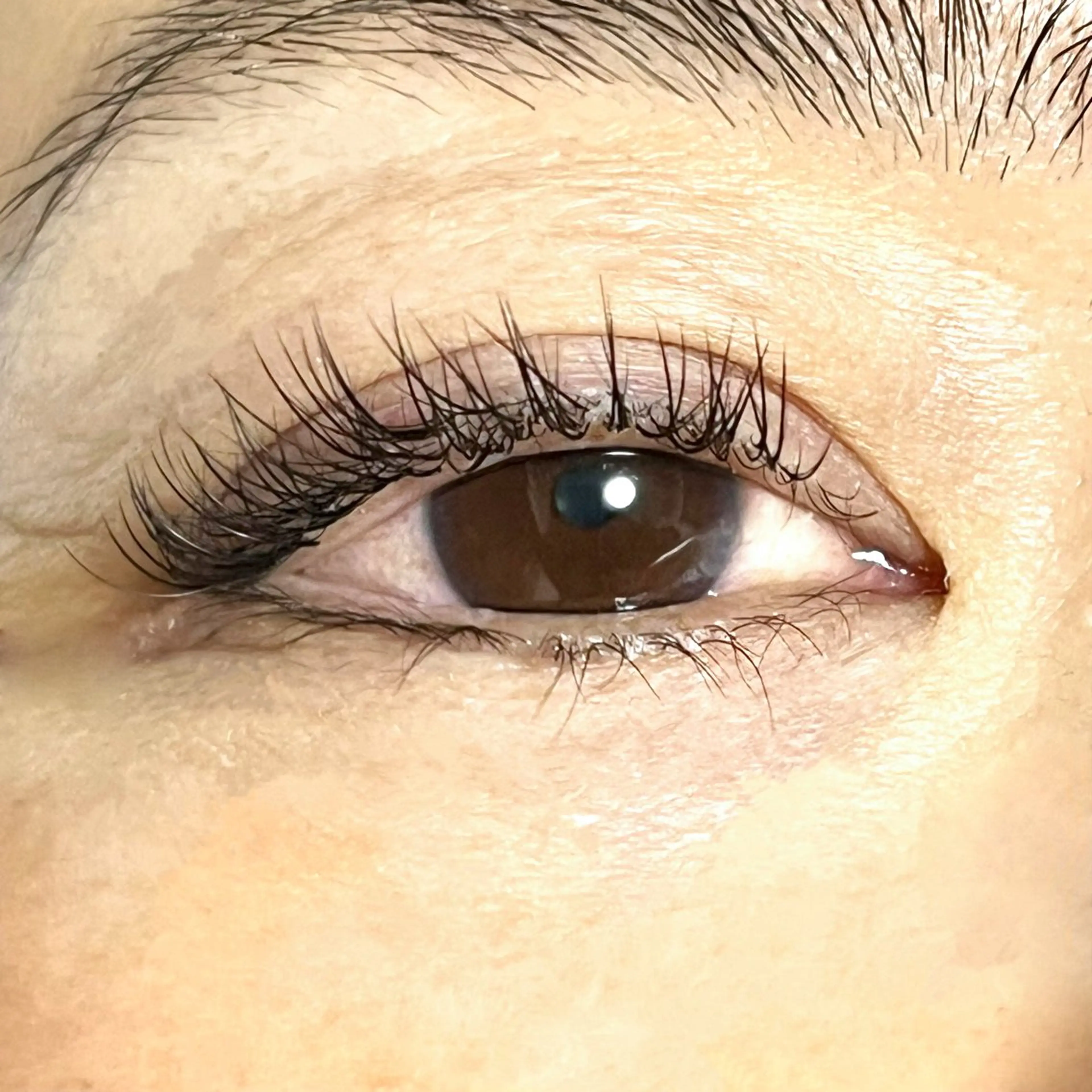 マツエク・マツパ Cカール narumi .のマツエク・マツパデザイン