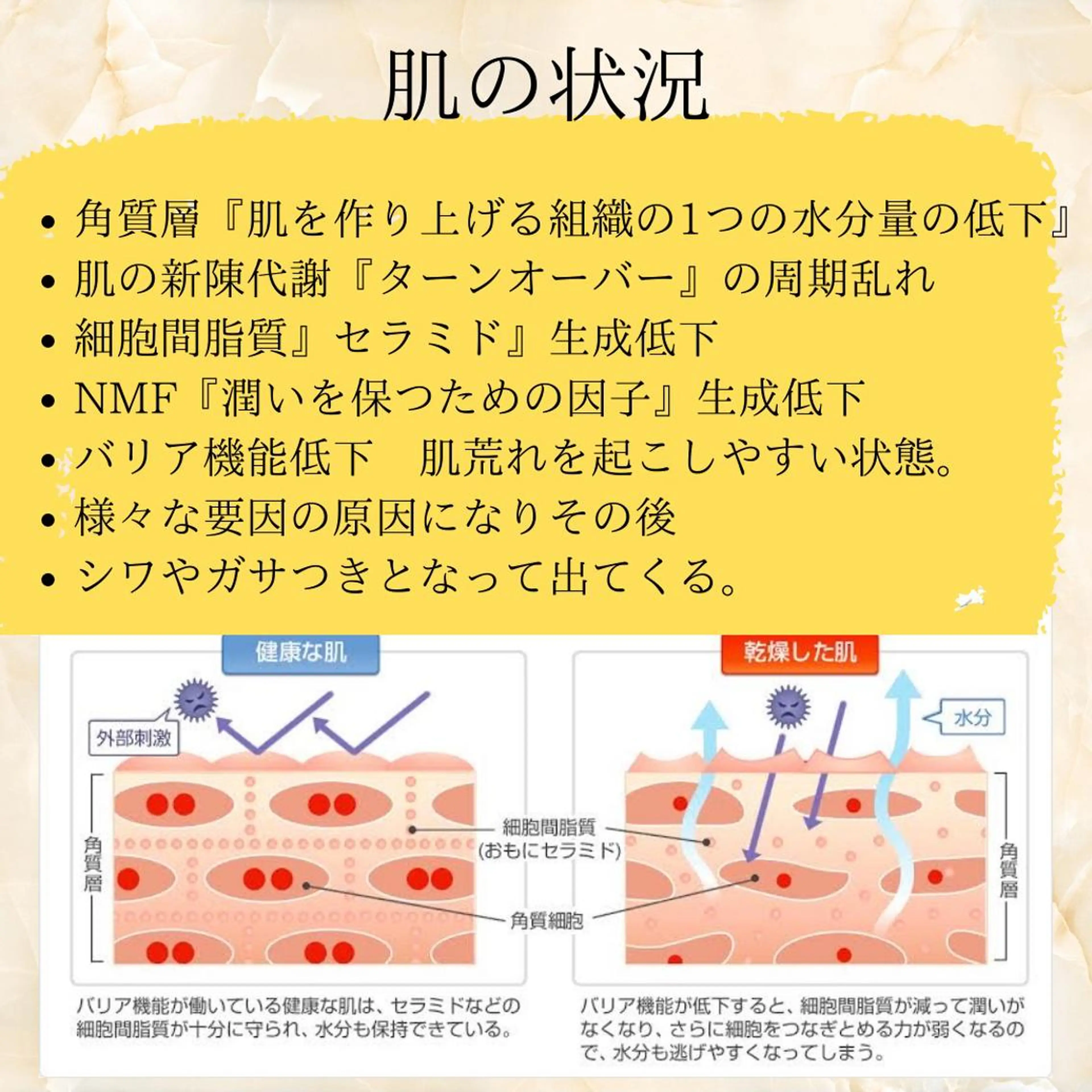 メンズ 20代から始める脱毛 salonLEPIAのエステ・リラクイメージ