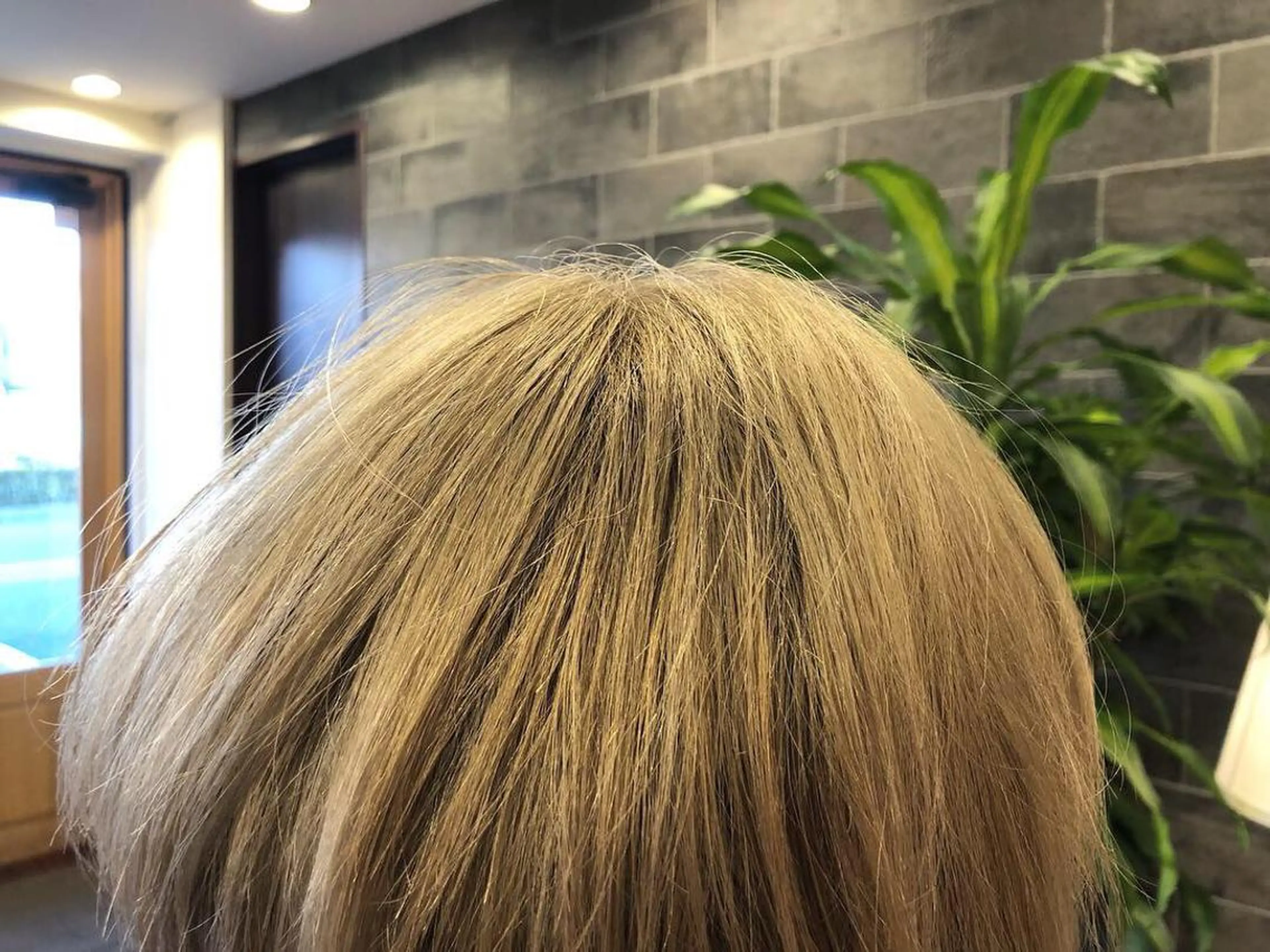 カラー ダブルカラー 鈴村 大介のヘアスタイル