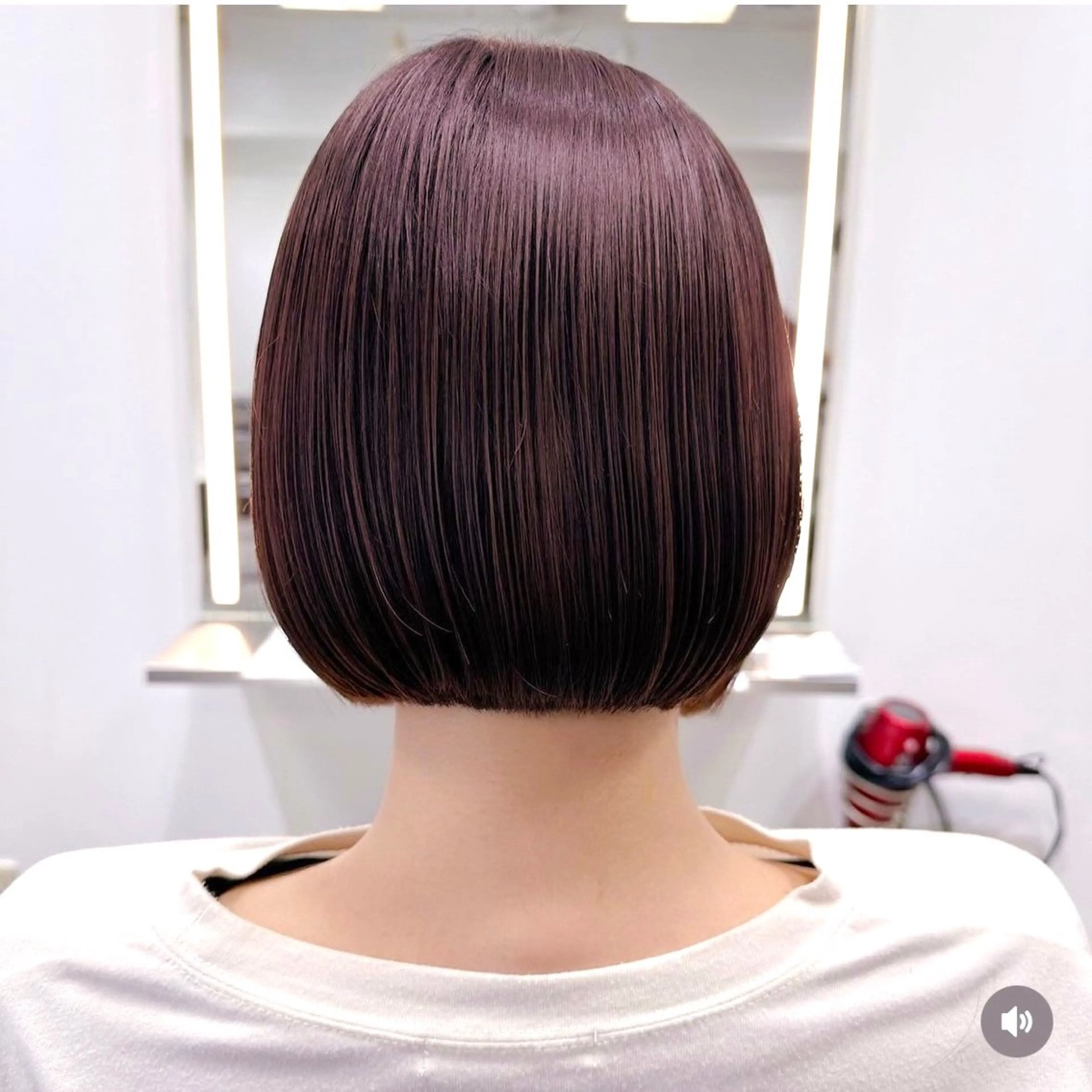 当日限定メニュー🤍ワンカラーの写真